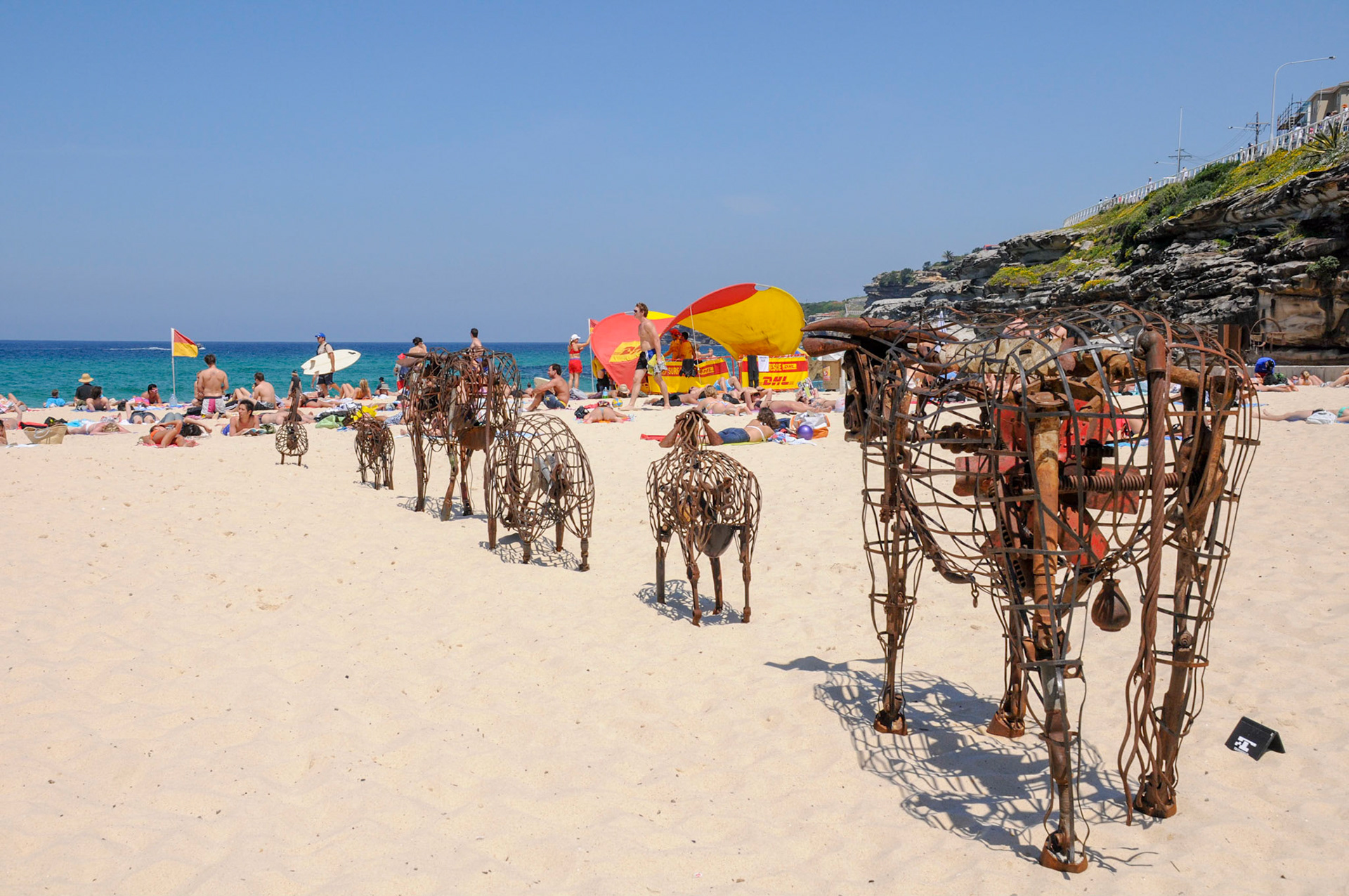 Animals on Glamorama beach