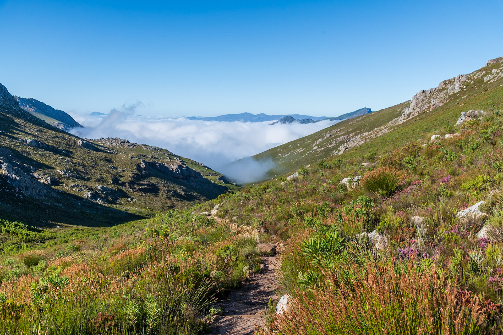 Hike above the clouds