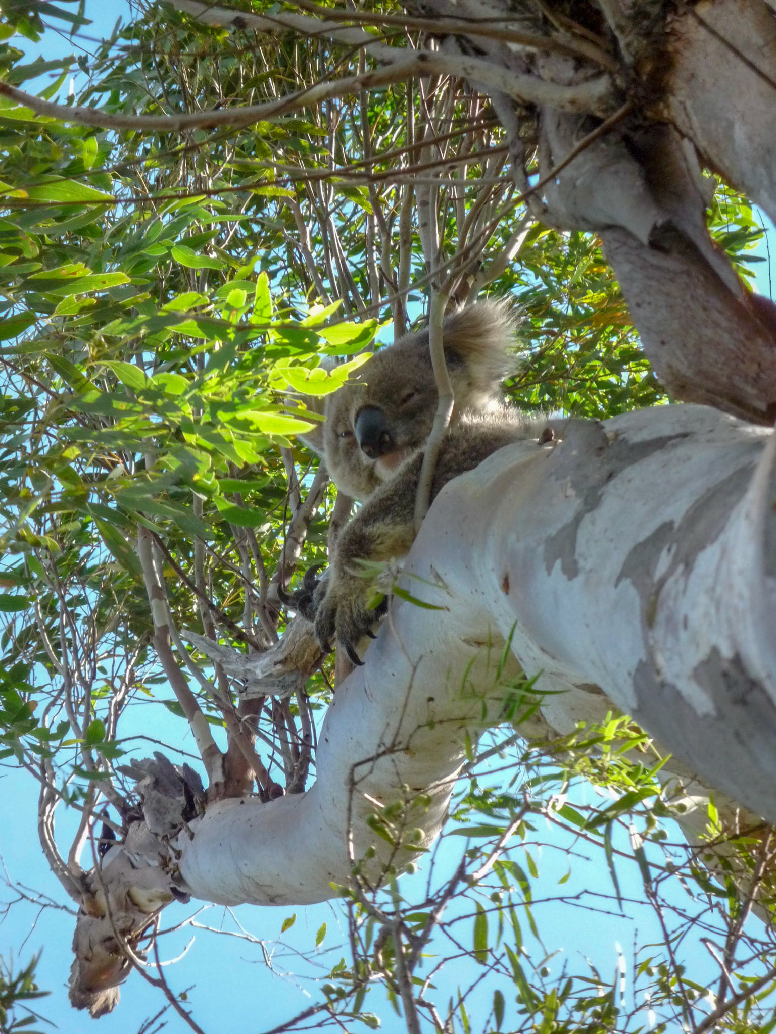 Holding on for dear life in the wind!