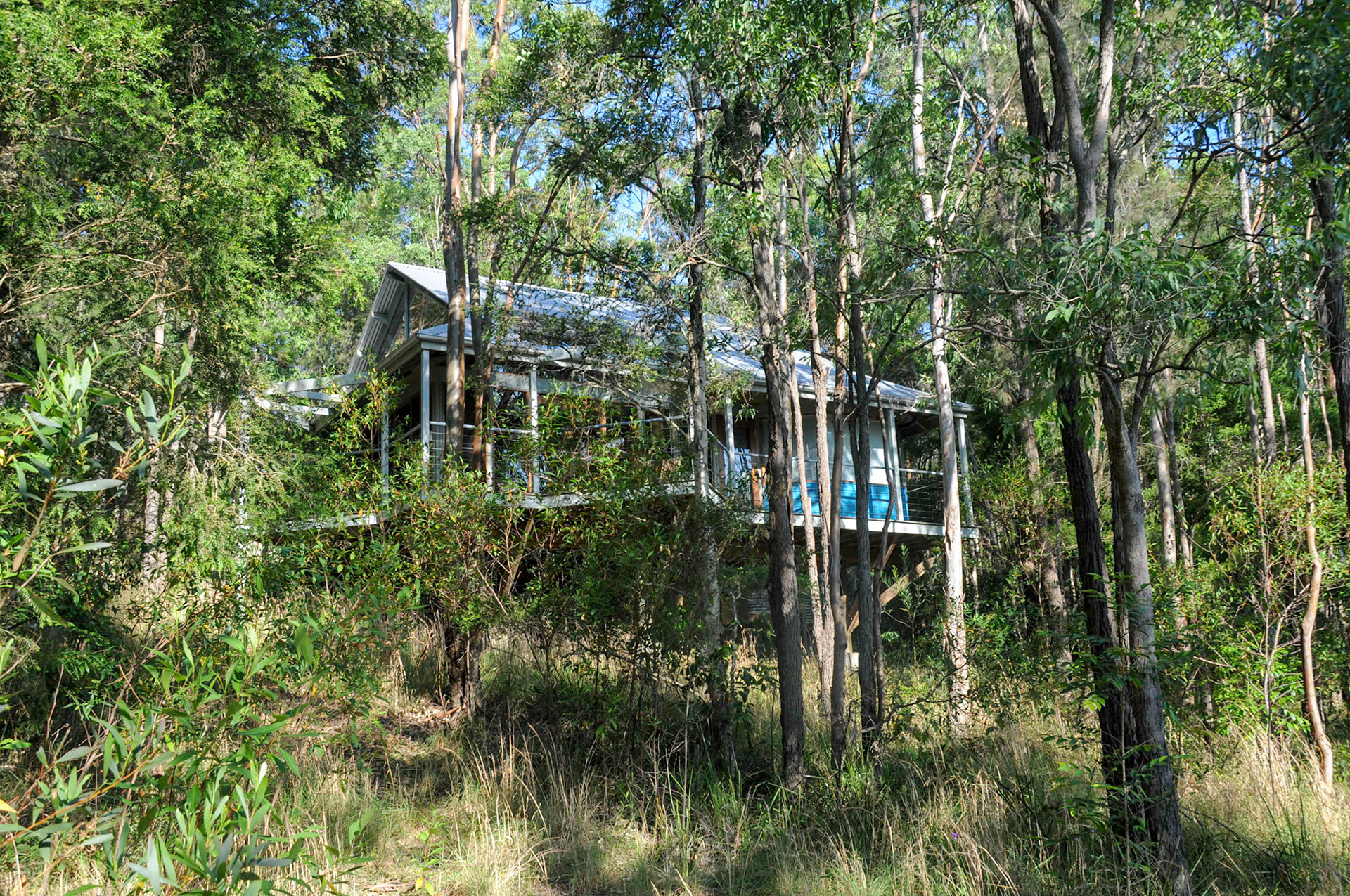 Our house in the woods
