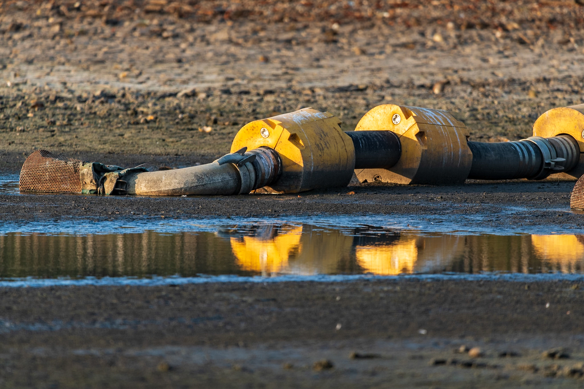 Pen Ponds being drained