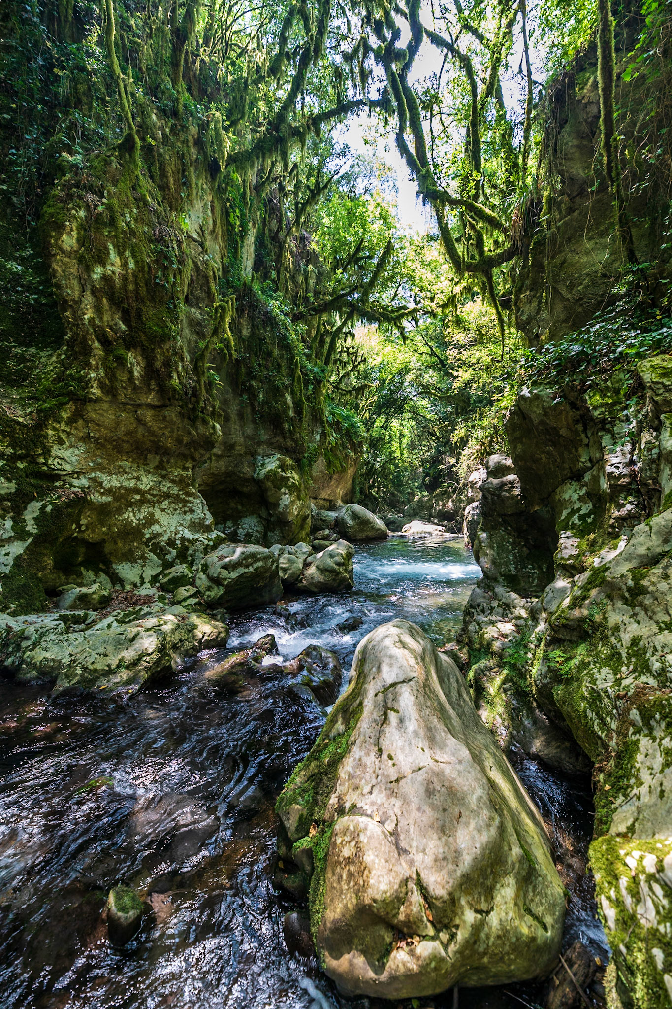 Grotte del Bussento
