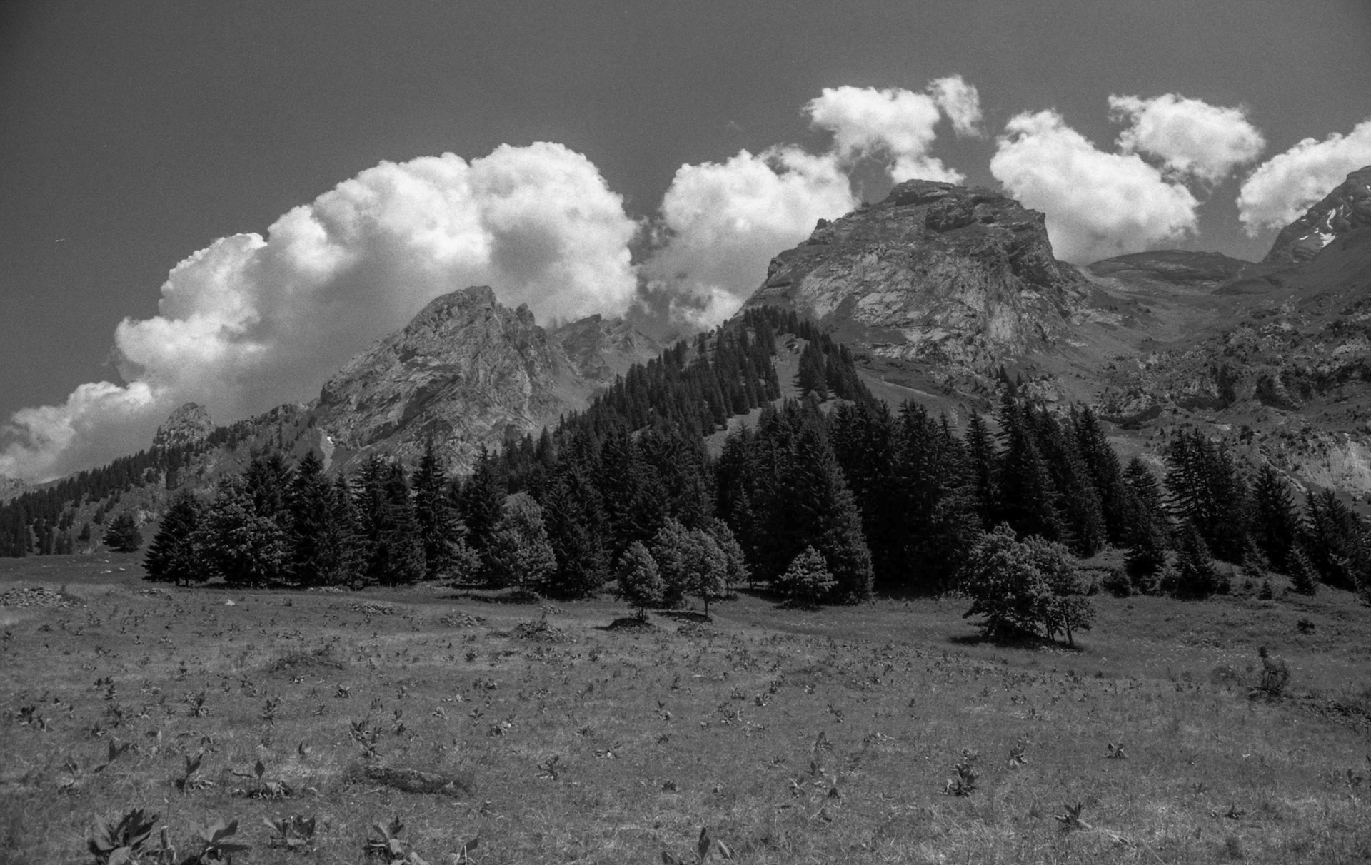 La Cluzas, French Alps