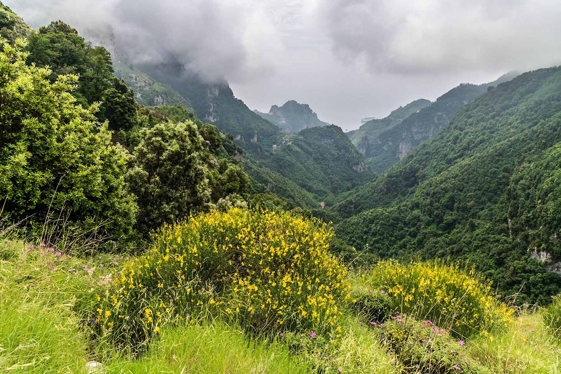 Upper trail of "Valle delle Ferriere"
