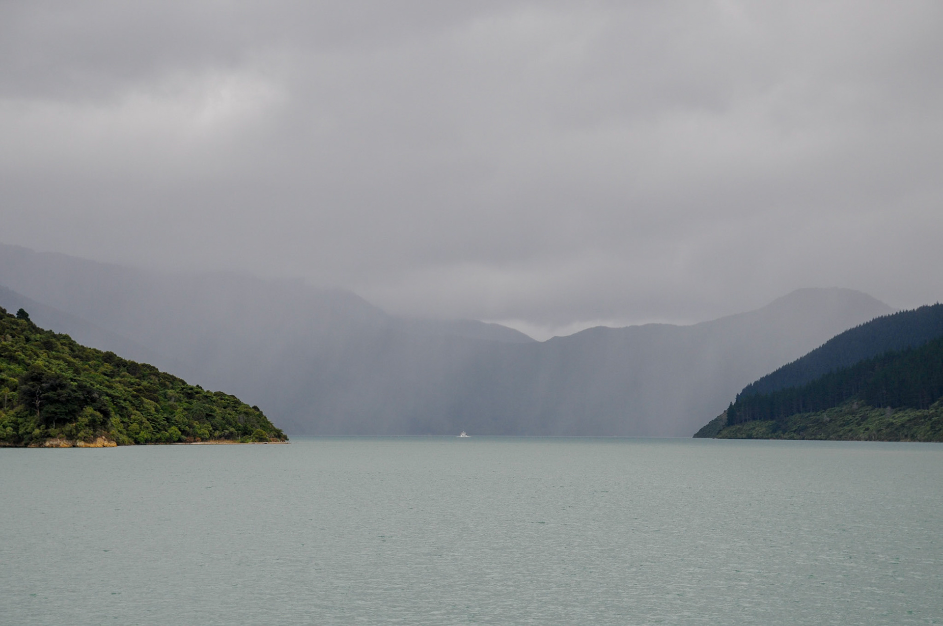Rain in the Pelorus Sound