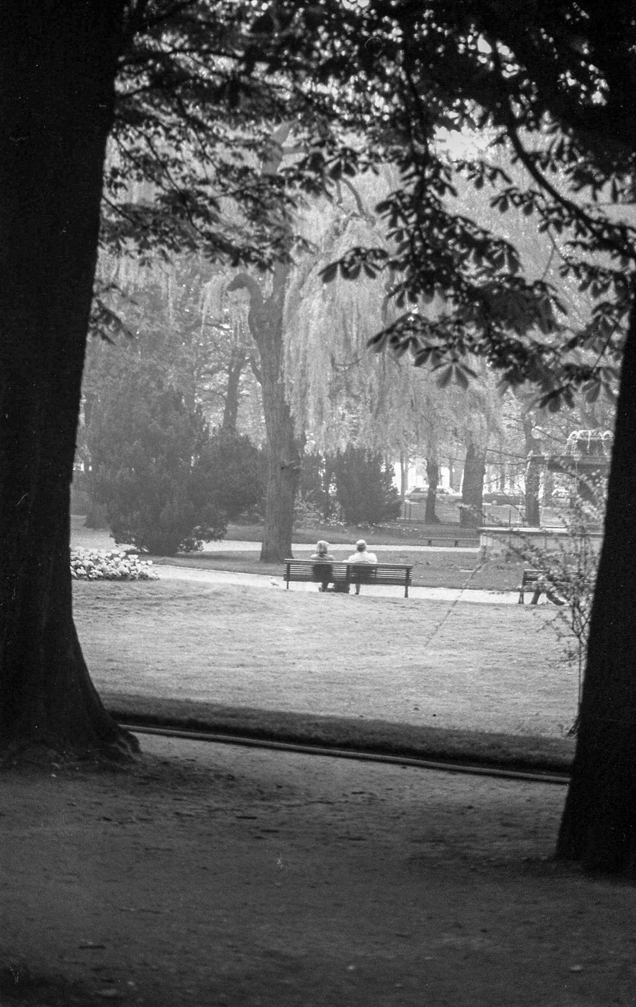 Parents sat in a park
