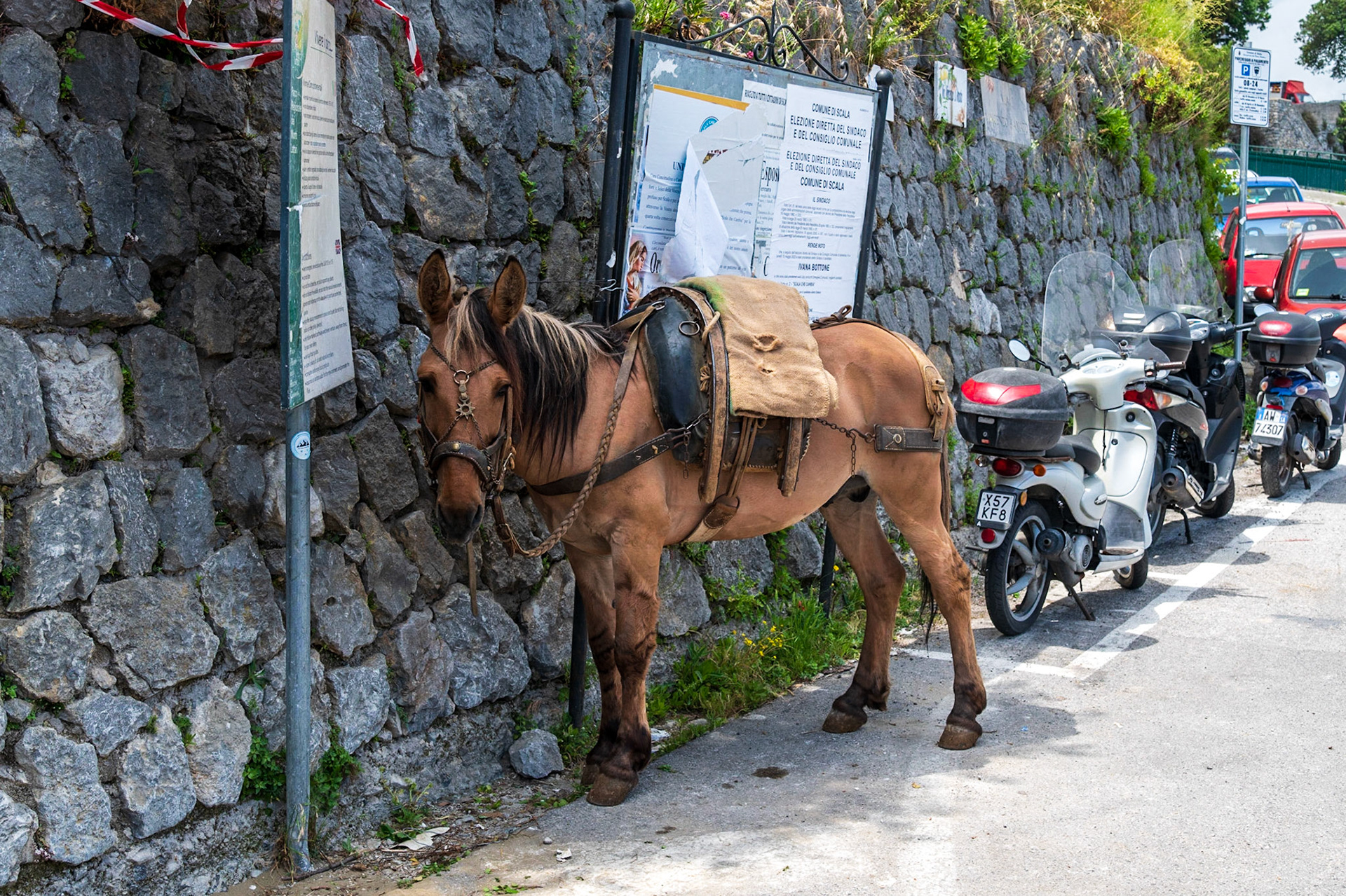 Local parking