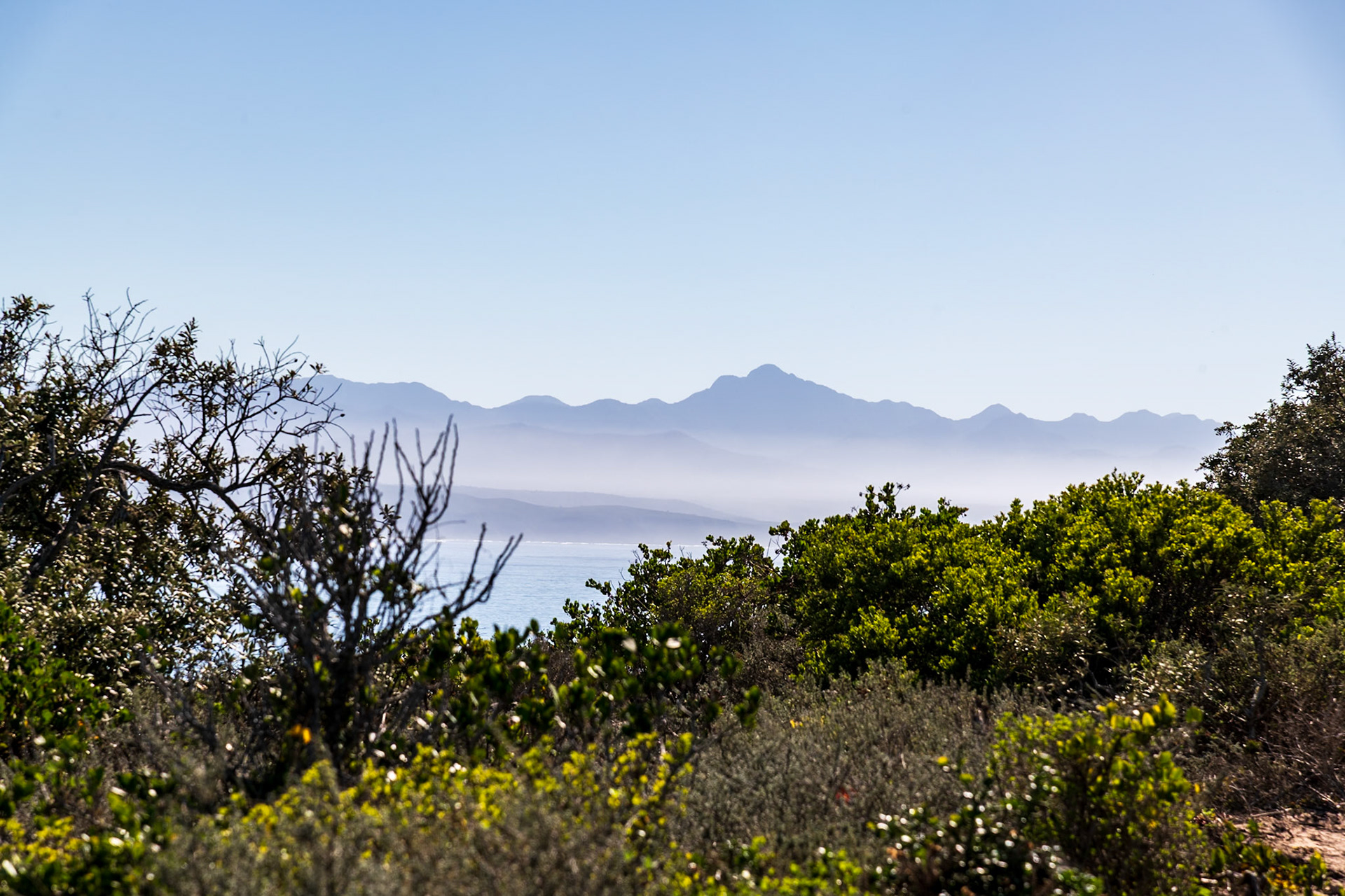 Robberg Nature Reserve