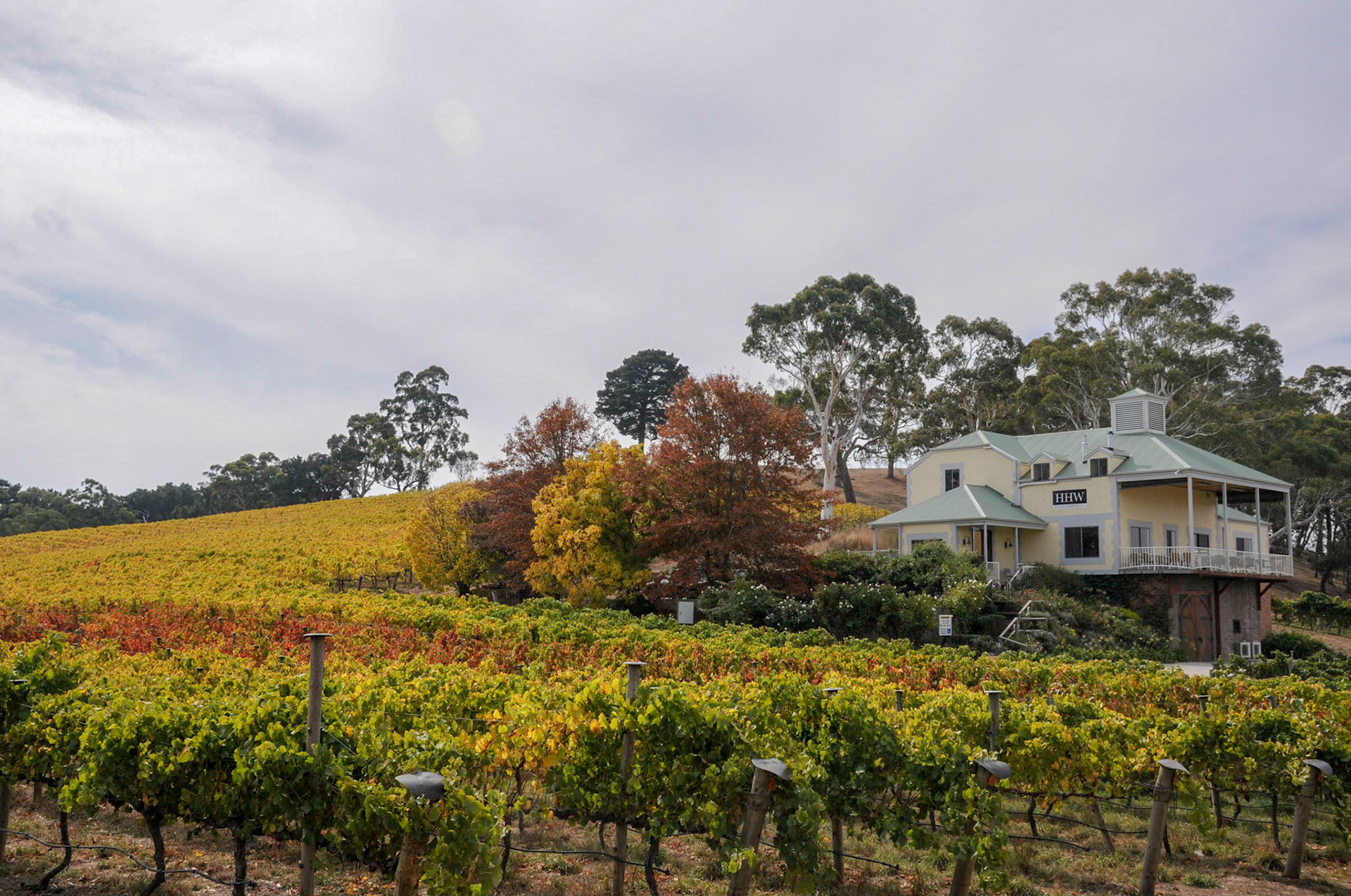 Hahndorf Hill Winery