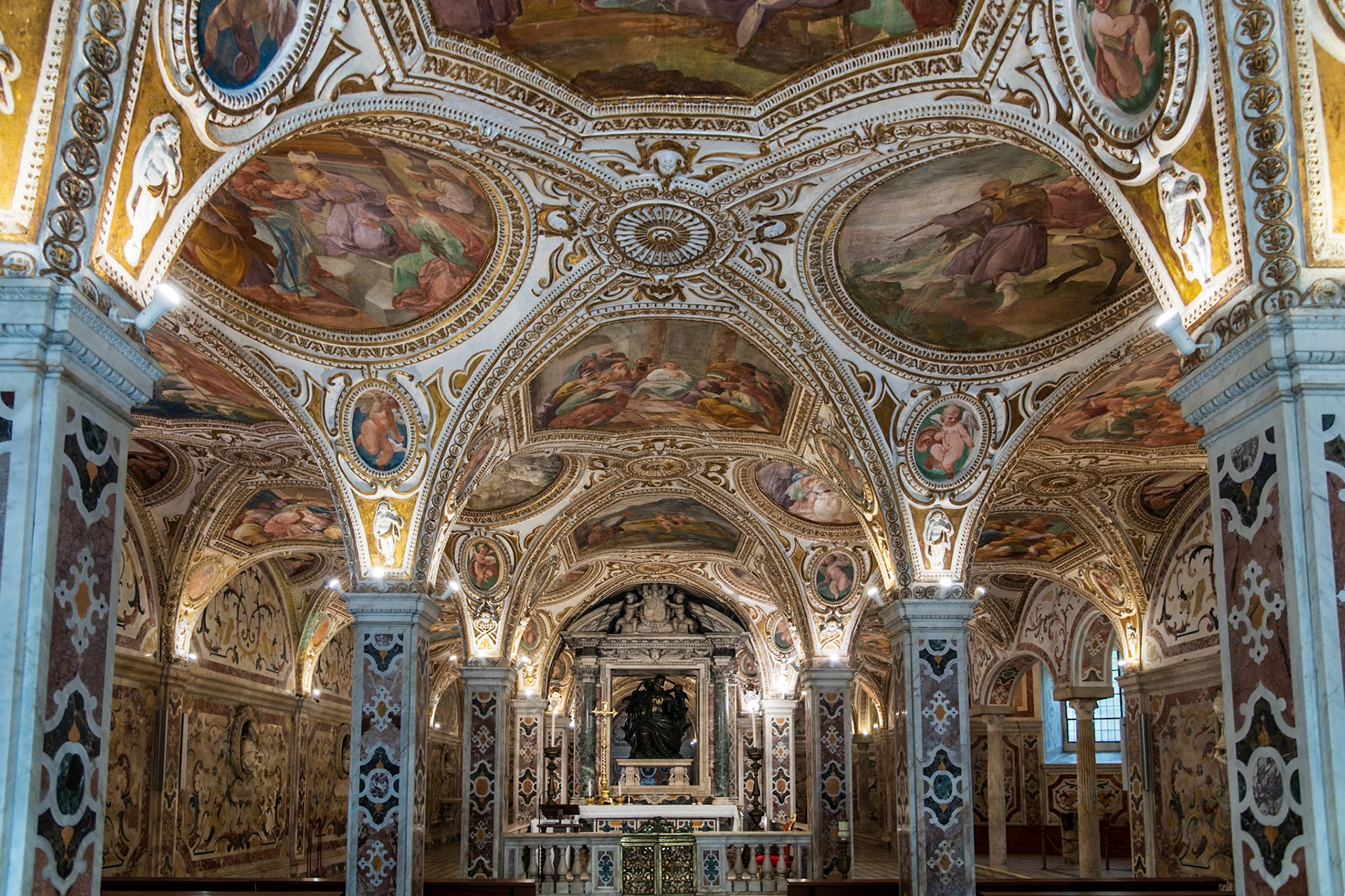 Salerno cathemeral