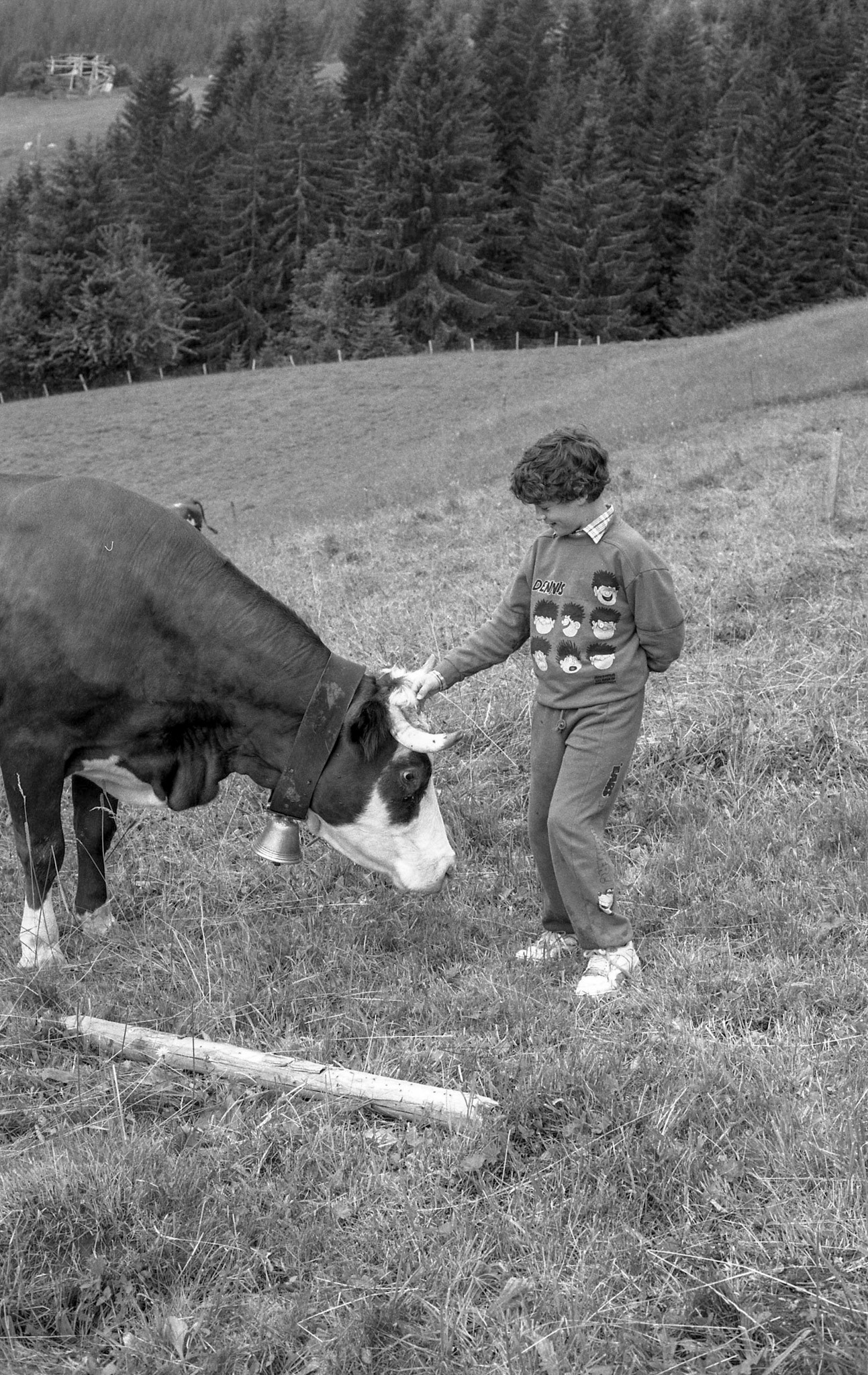 Nice Dennis the Menace outfit