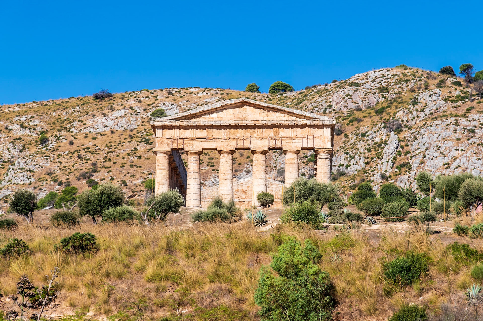 Doric Temple at Segesta