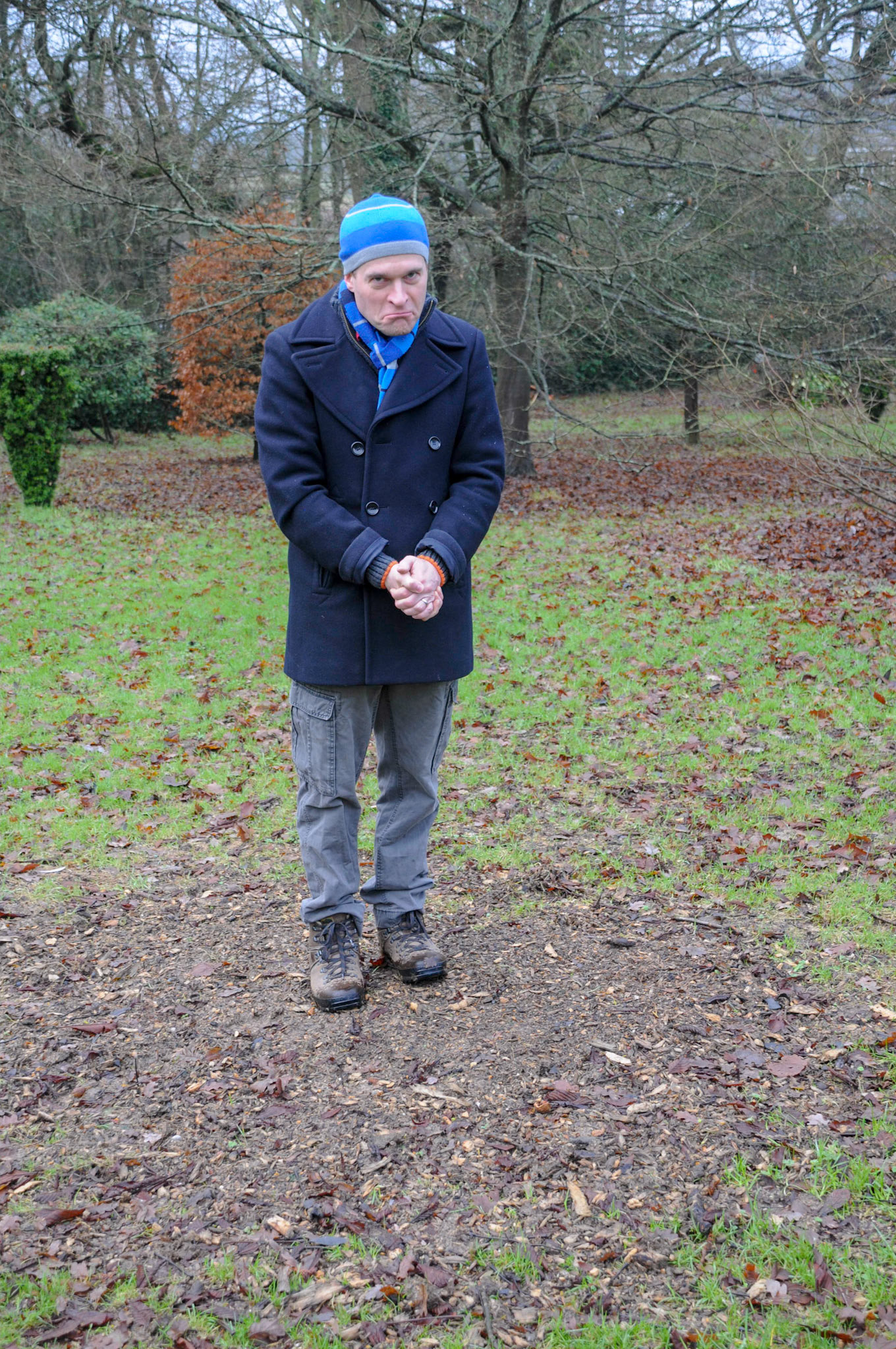 Site of the old tree