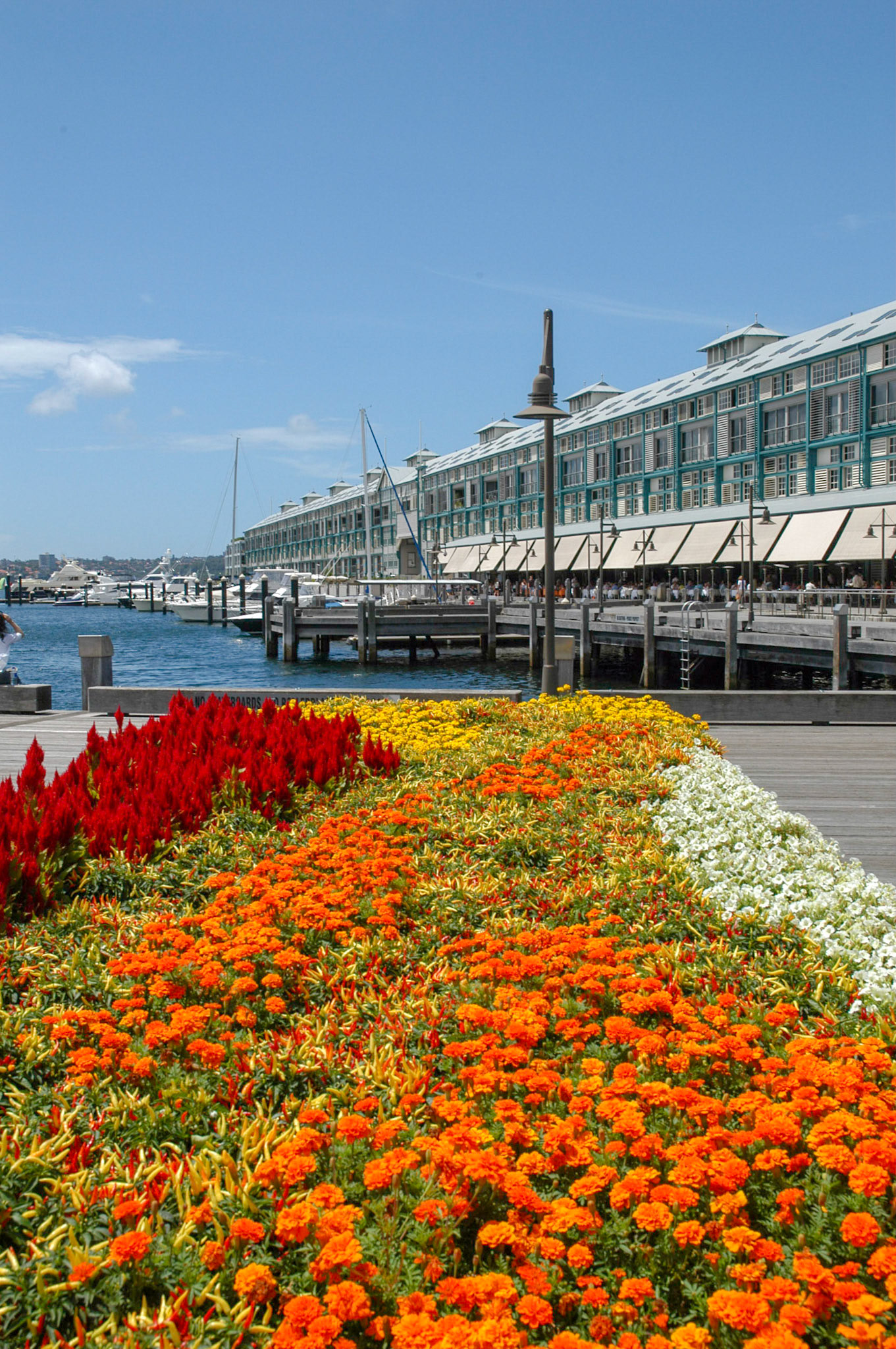 Woolloomooloo in colour