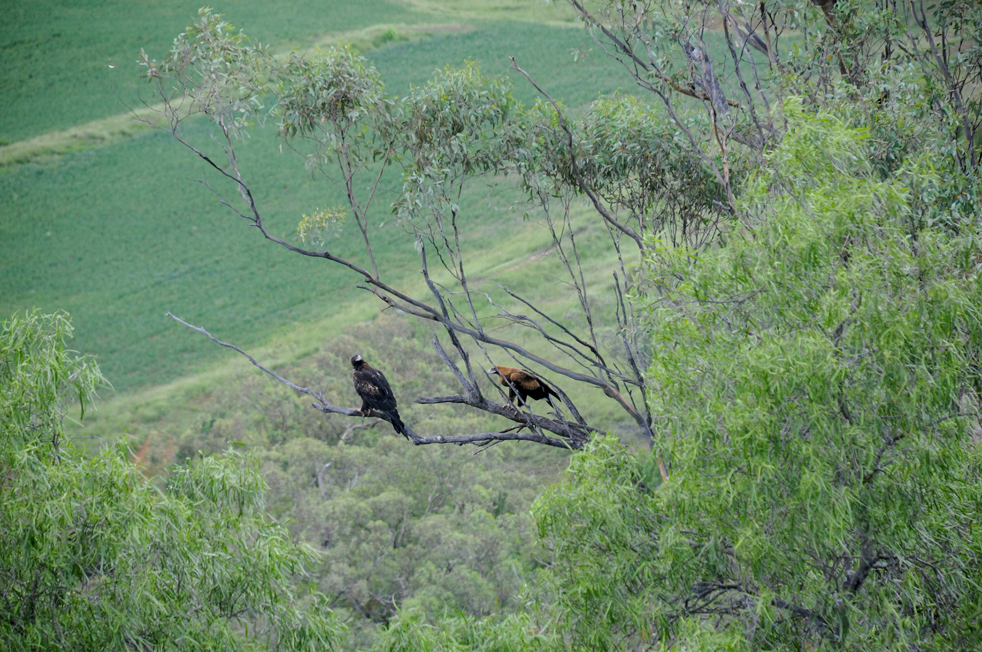 Preparing for take-off