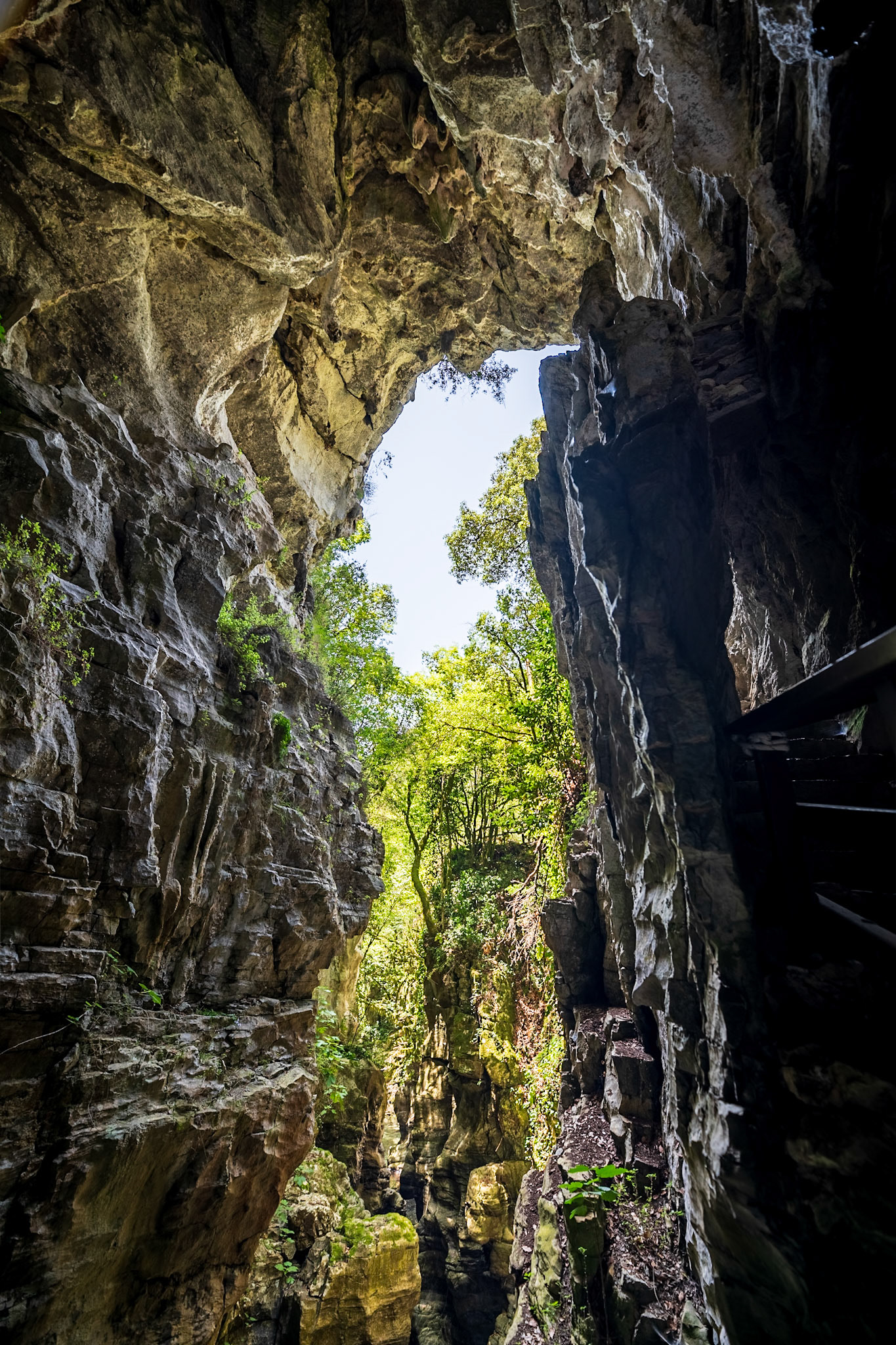 Grotte del Bussento
