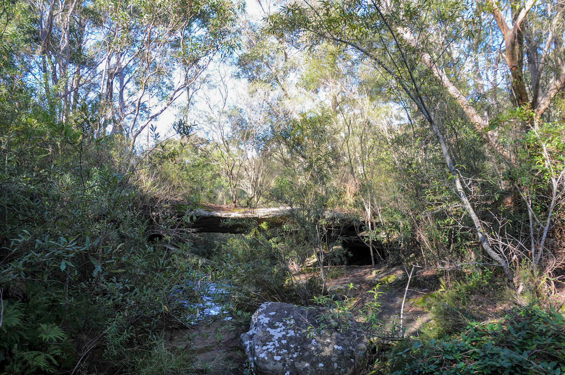A bridge naturally made out of rock