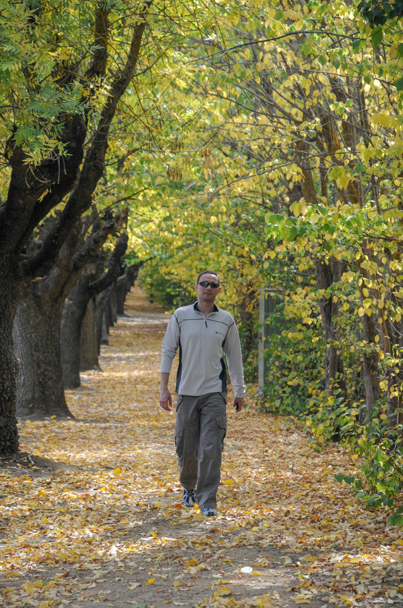 Autumn leaves in Hahndorf