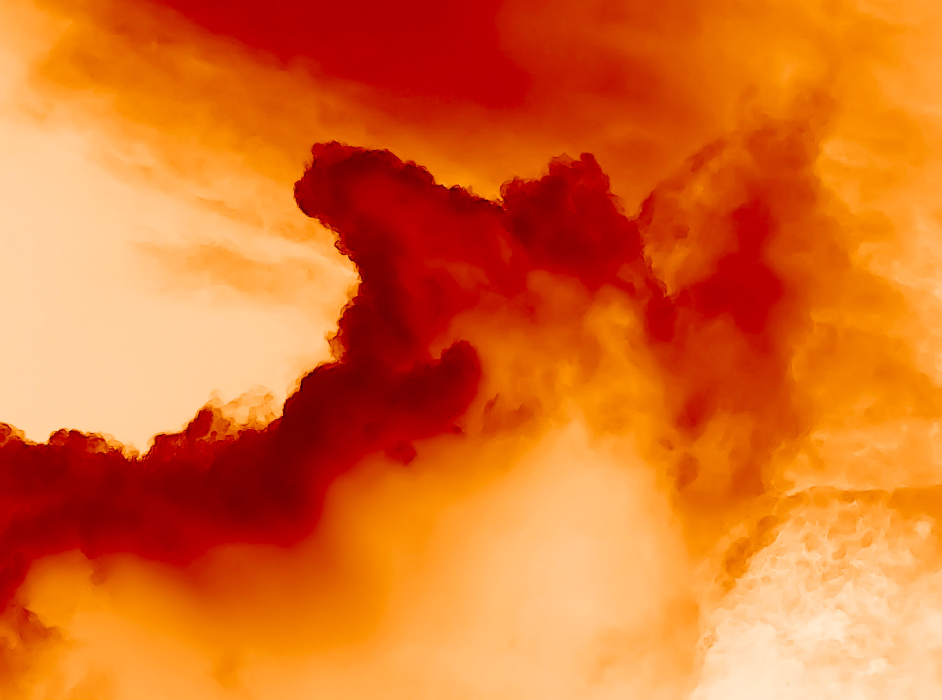 Dancing Bear, Maine, 2008, 37"H x 46"W, Framed.