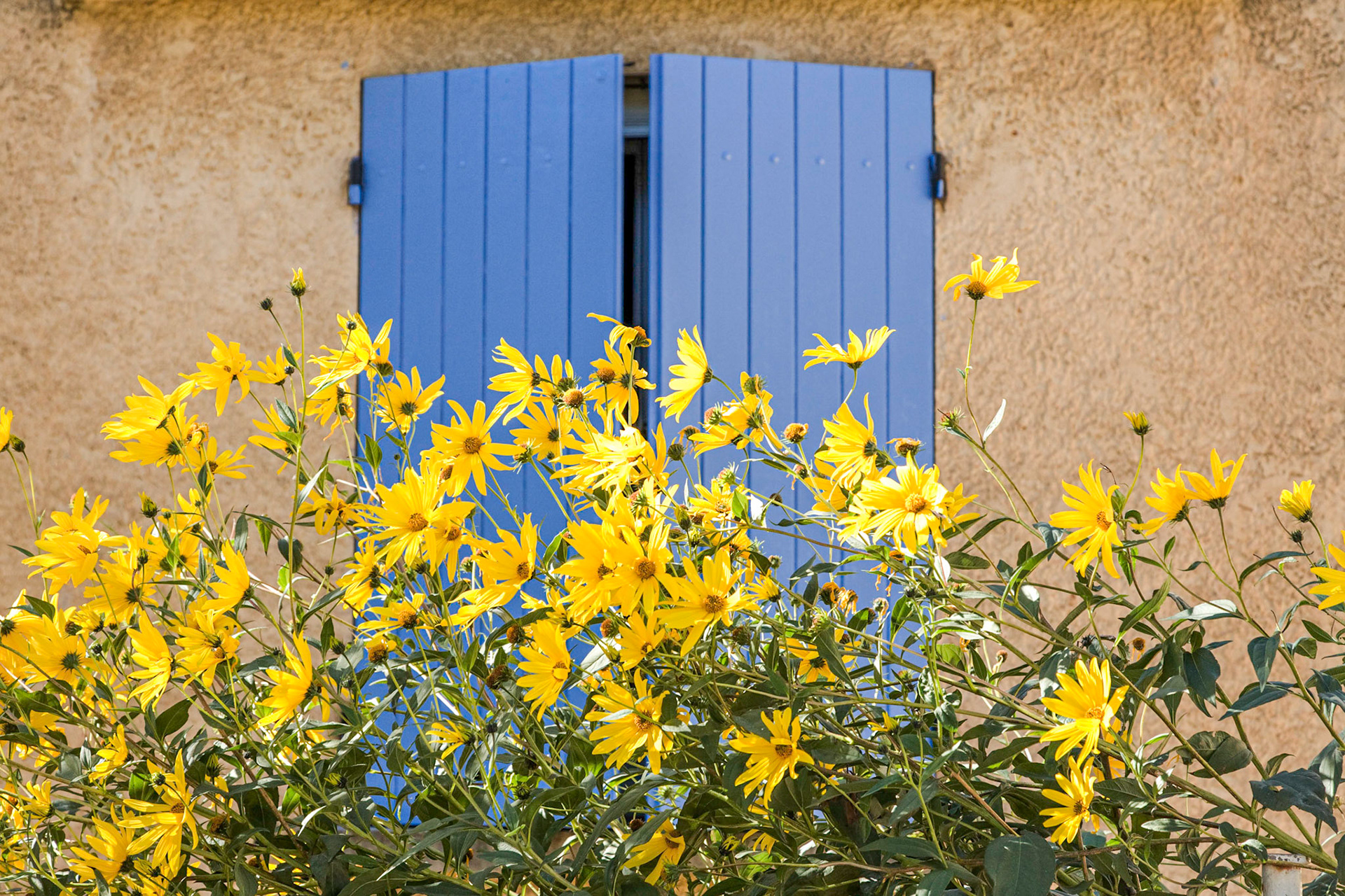 Provence Shutters, Rousillon, France, 2007, 21"H x 26"W, Framed.