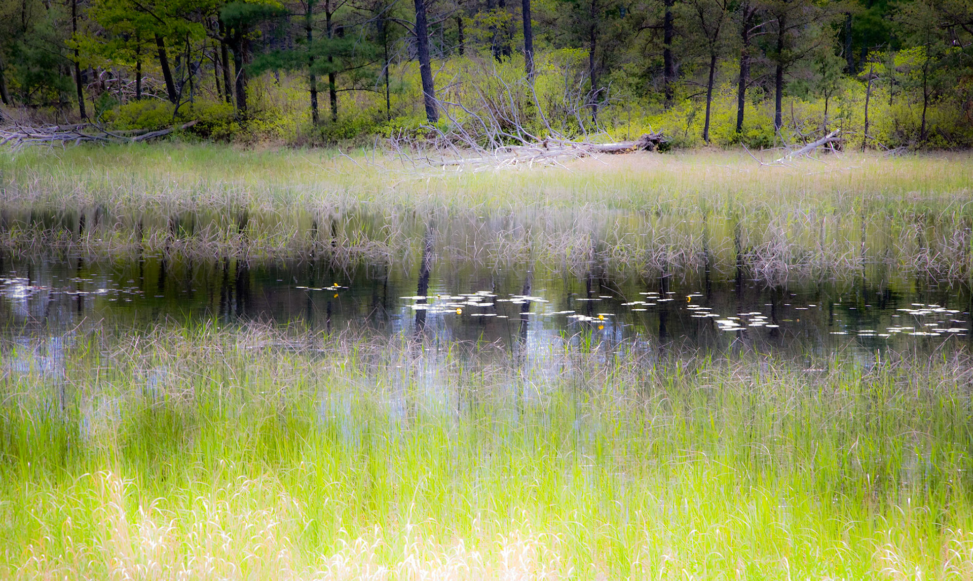 Lasso Road Pond, Sleeping Bear National Lakeshore, 2009, 22"H x 32"W, Framed.