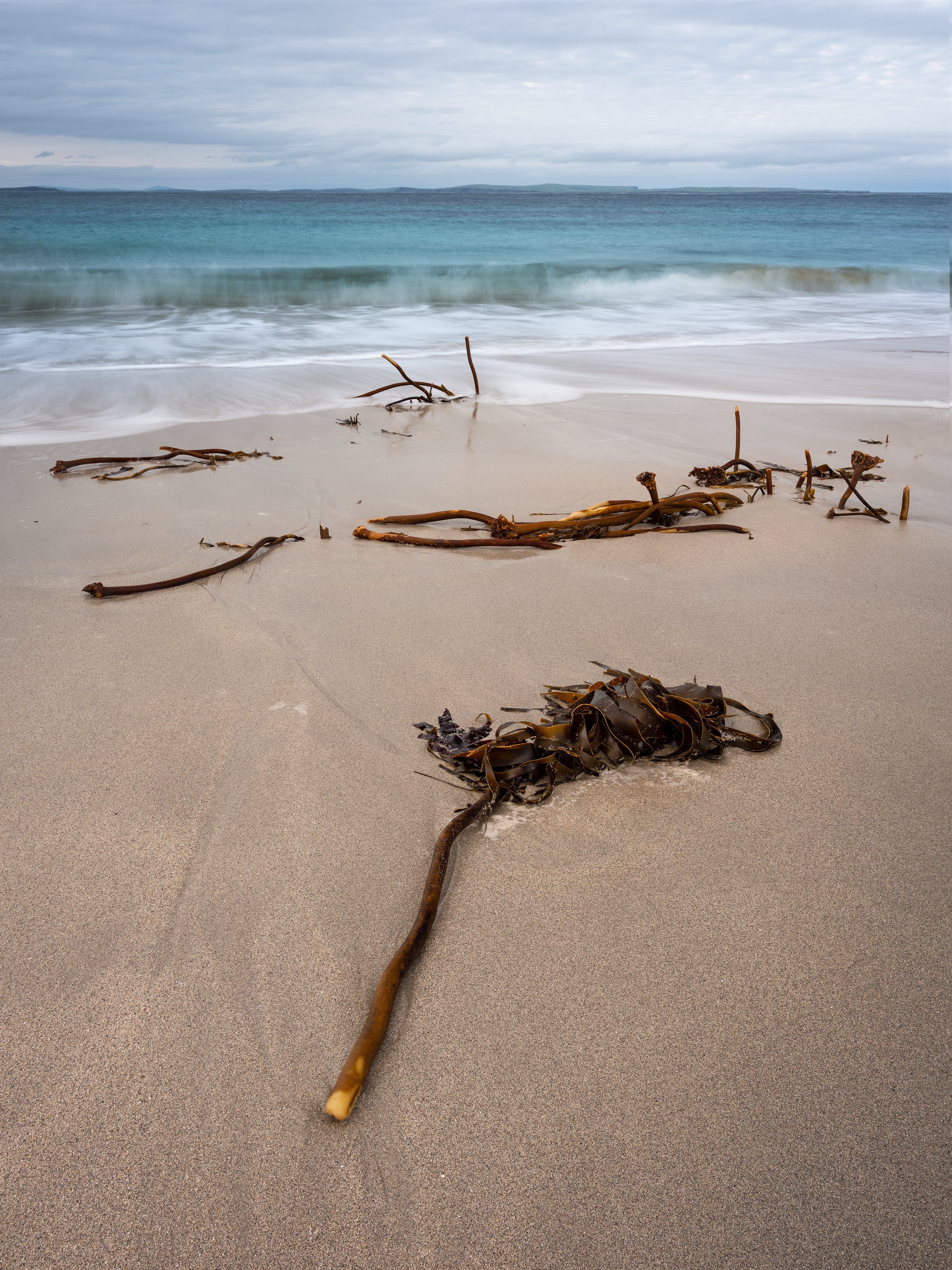 Week 39. As near to trees as it gets in Caithness