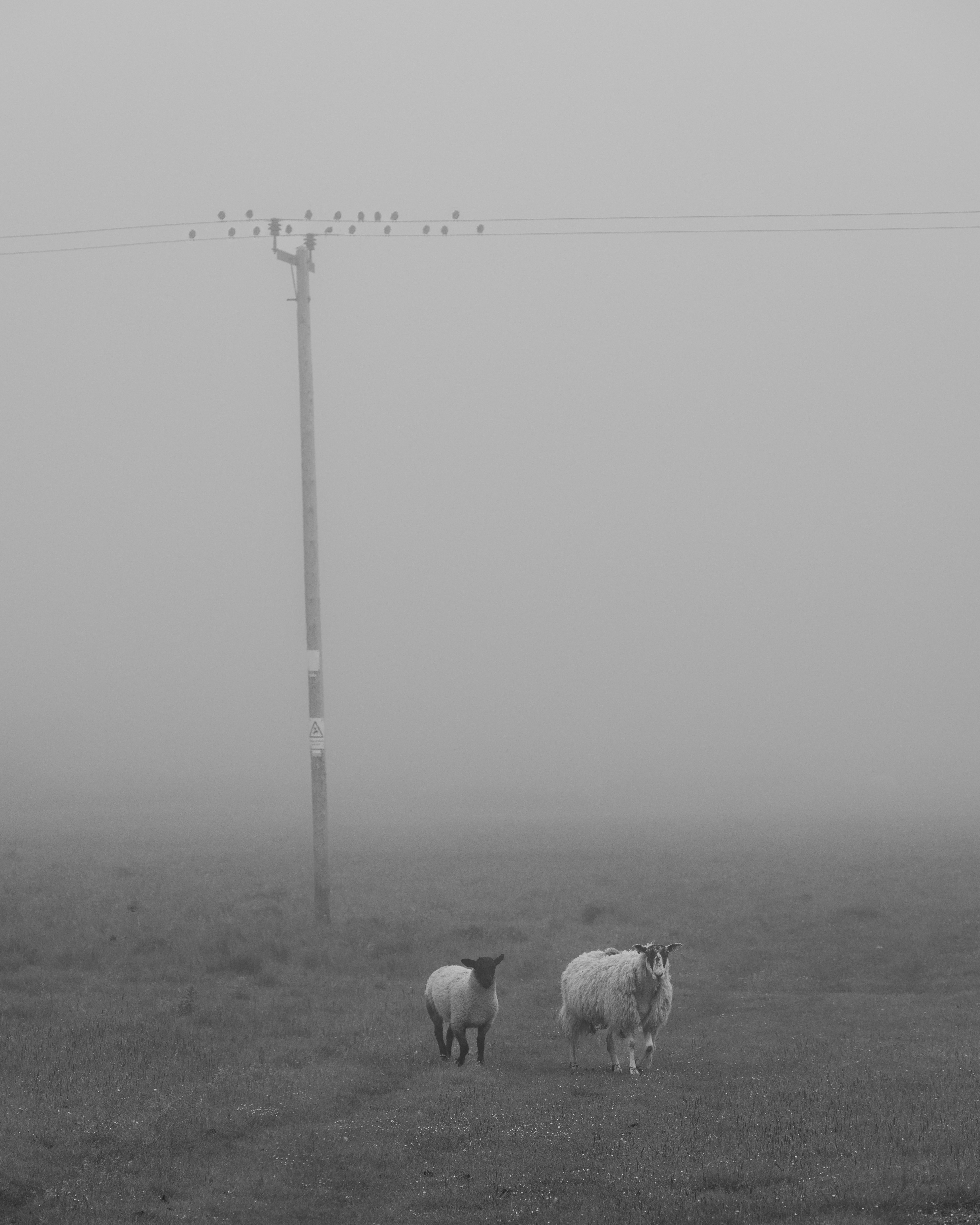 Week 25. We're watching Ewe