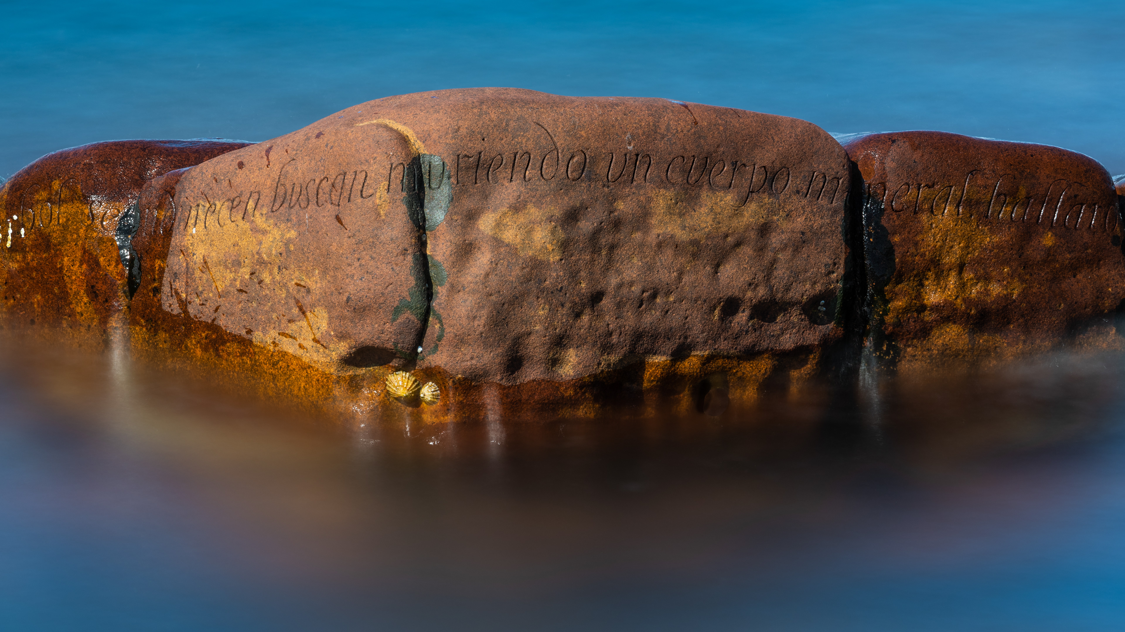 Week 31. "The stone shines like a hard new rose" From a poem by Pablo Neruda