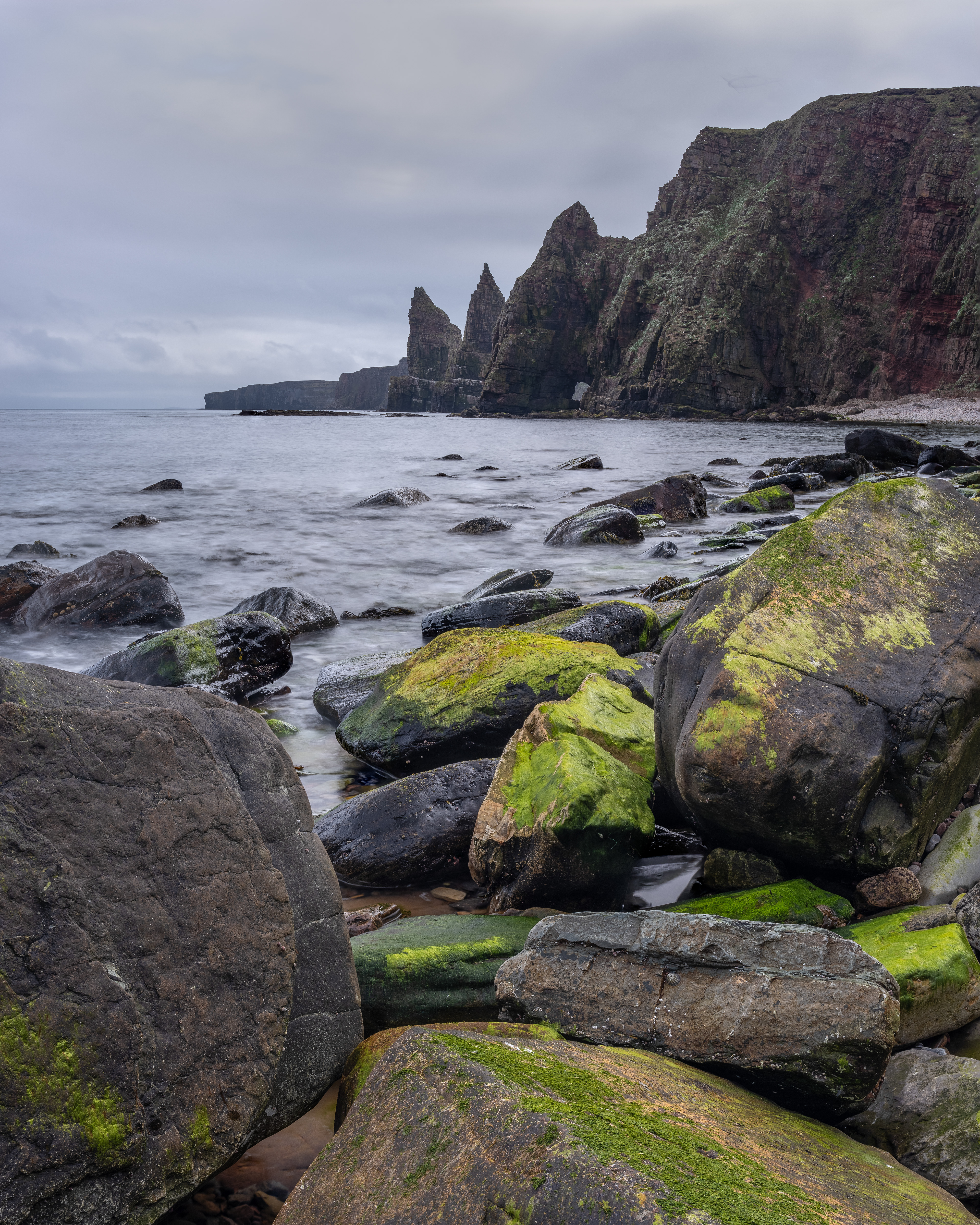 Week 18.  Rocks and seaweed