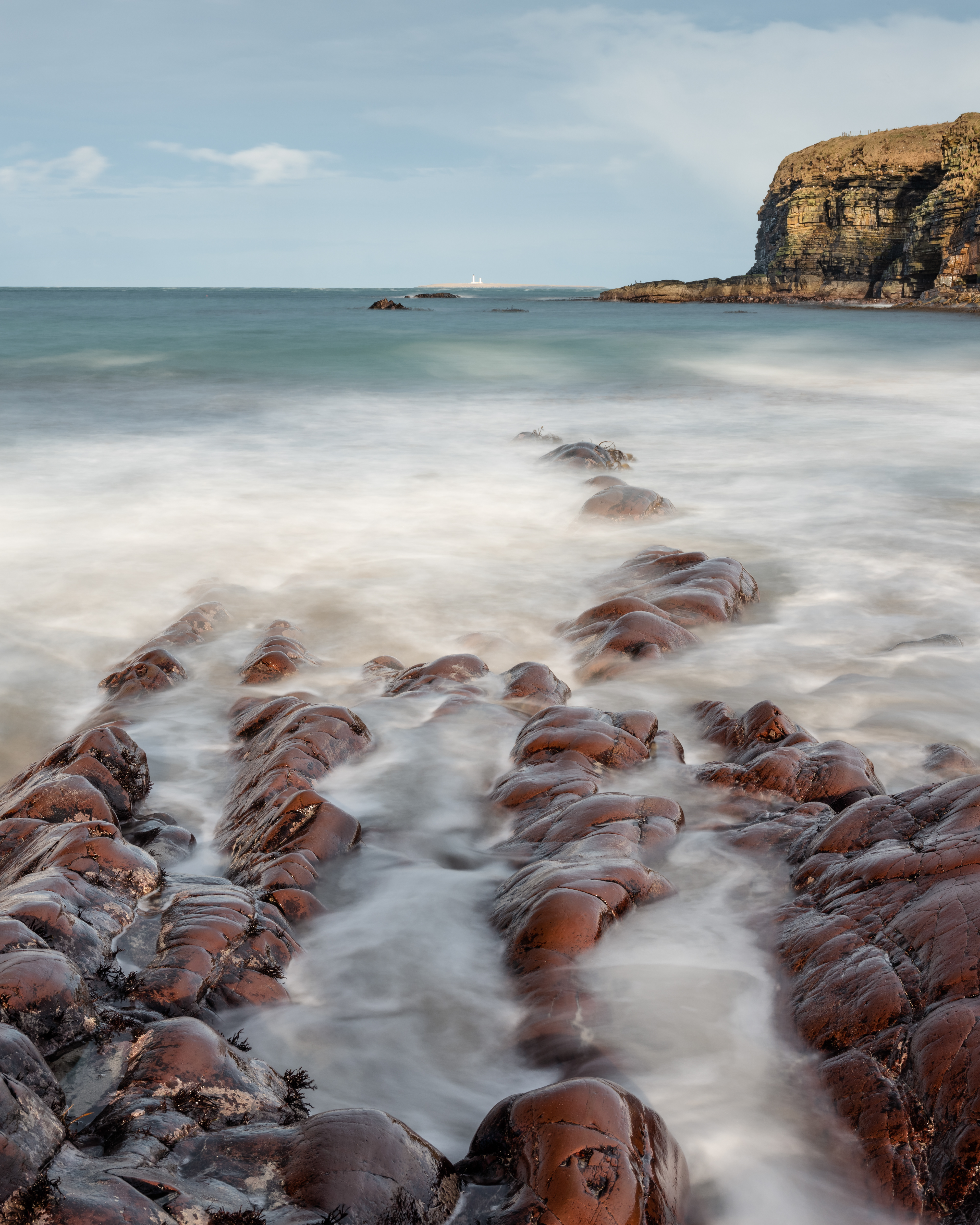 Week 9. Sannick crocodiles