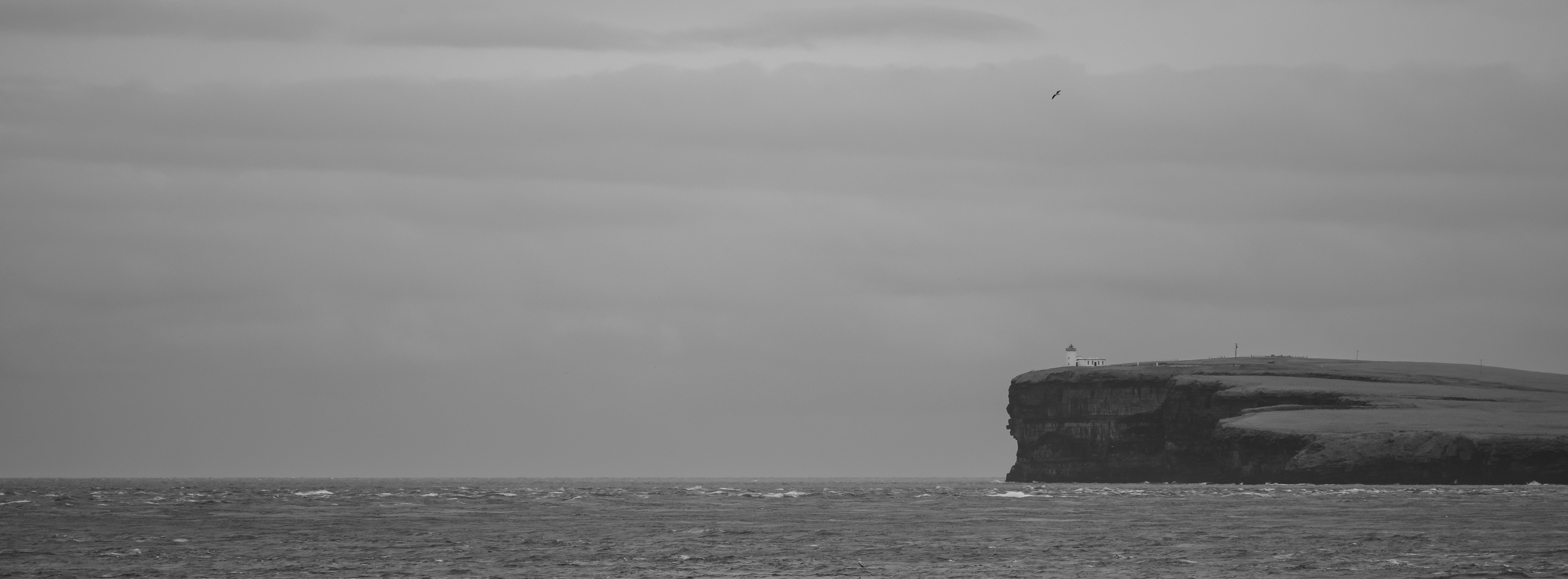Week 8. Taken from the MV Alfred