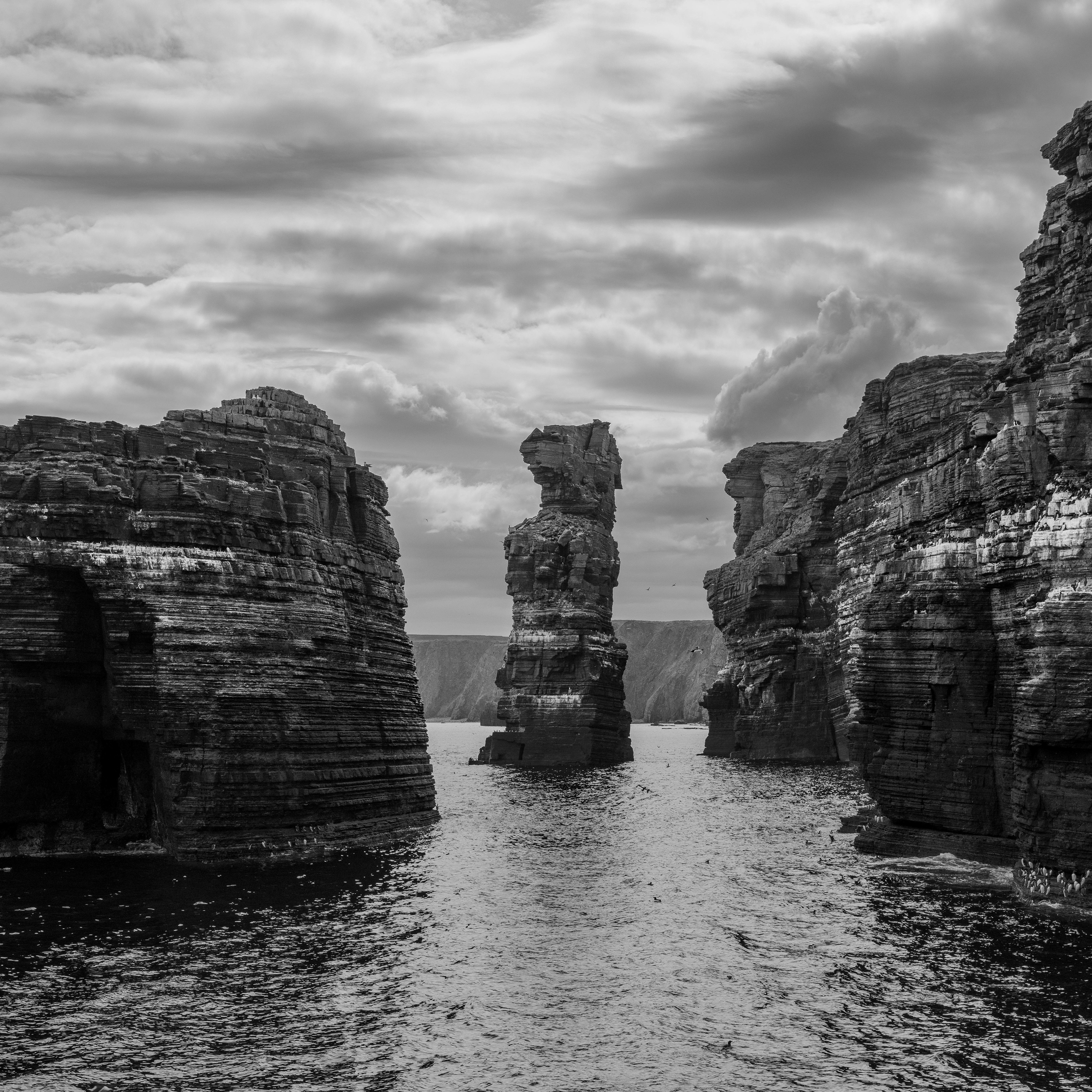 Week 20. Gibbs Clett