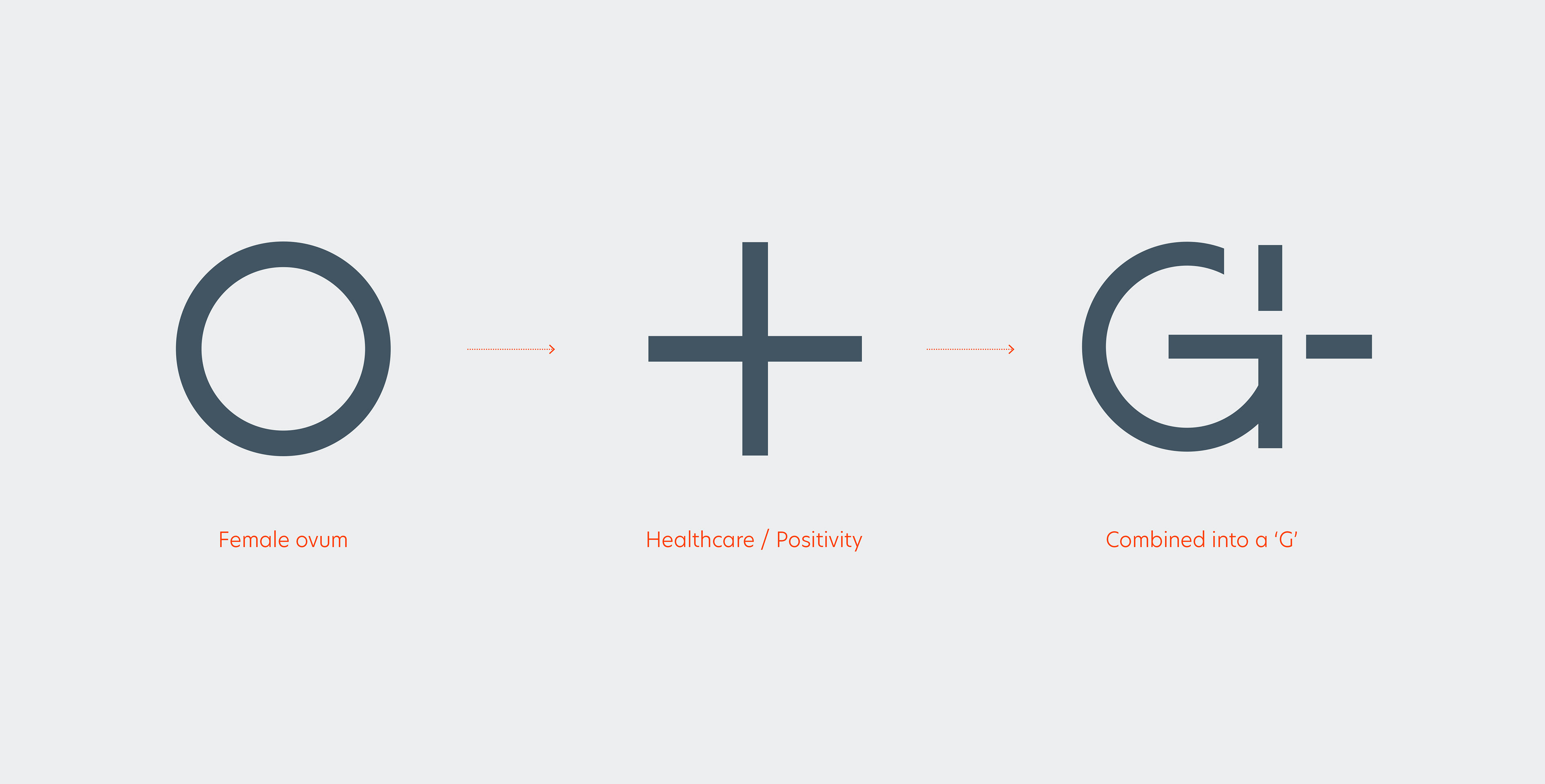 The Genus logo concept - combining the circular ovum and a plus sign to create the G symbol. 