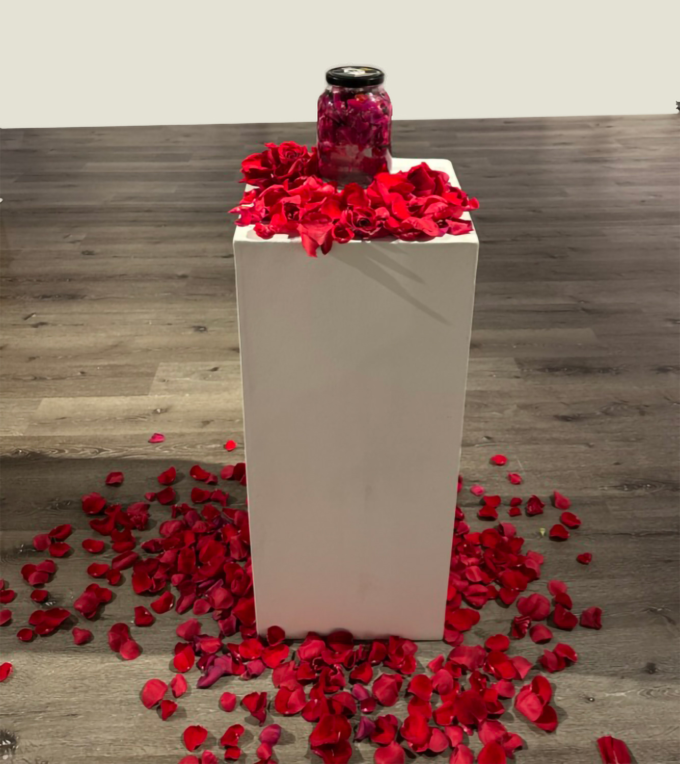 "Love Elixir", 2024/Art installation/Solo exhibition 