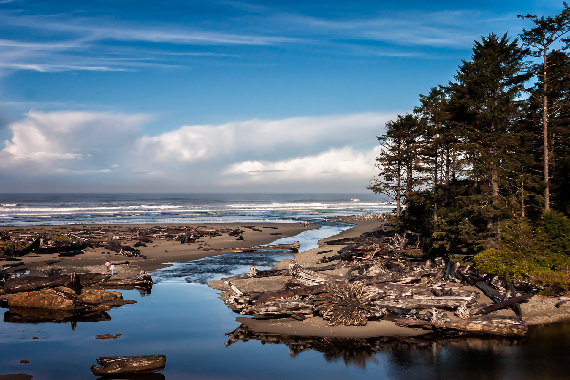 Kalaloch