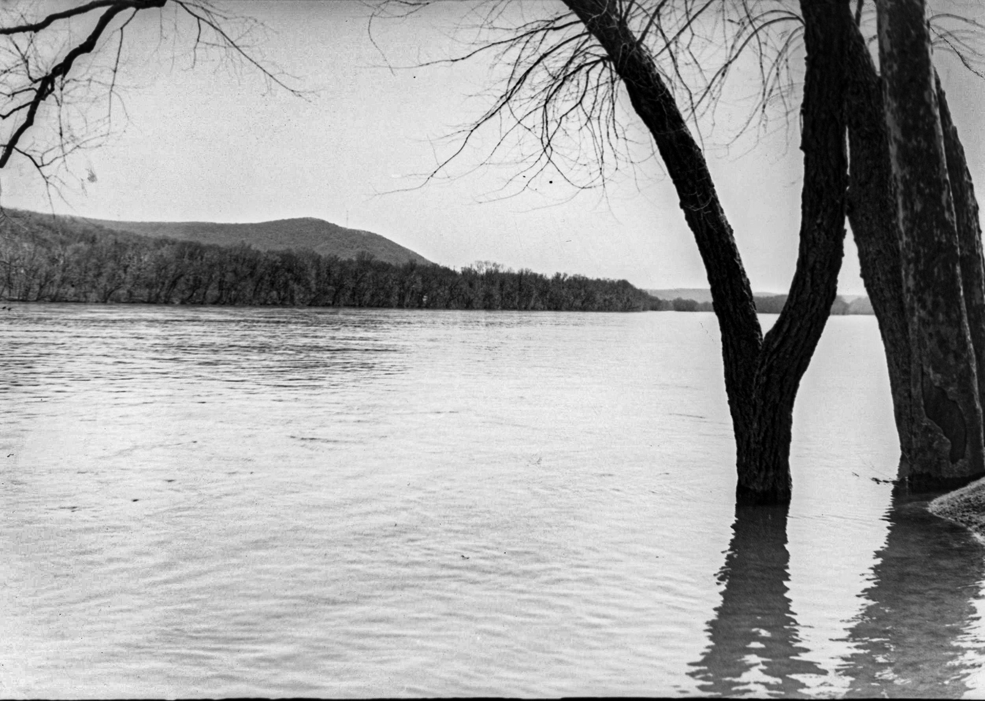 The River