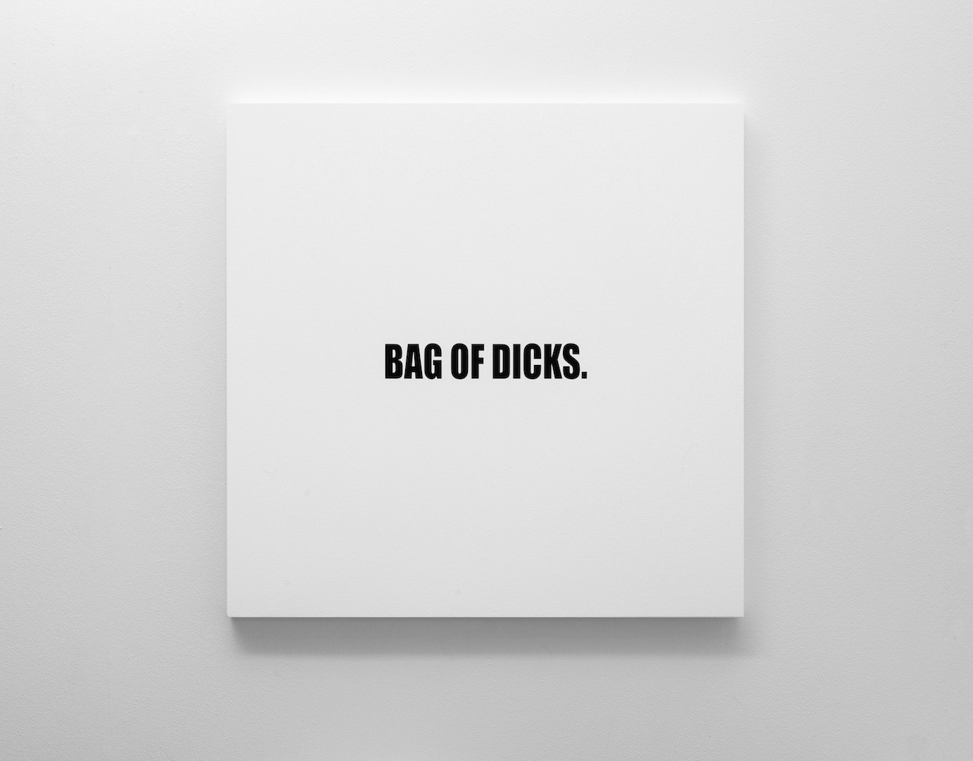 BAG OF DICKS. | OIL ON CANVAS | 1m x 1m