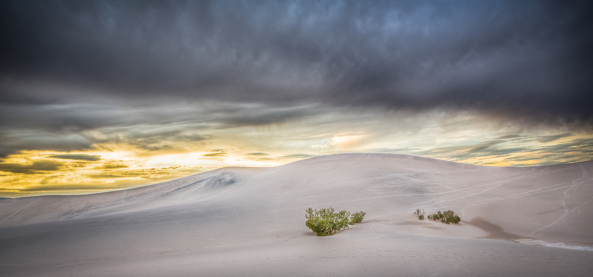 Désert - Vallée de la Mort - USA