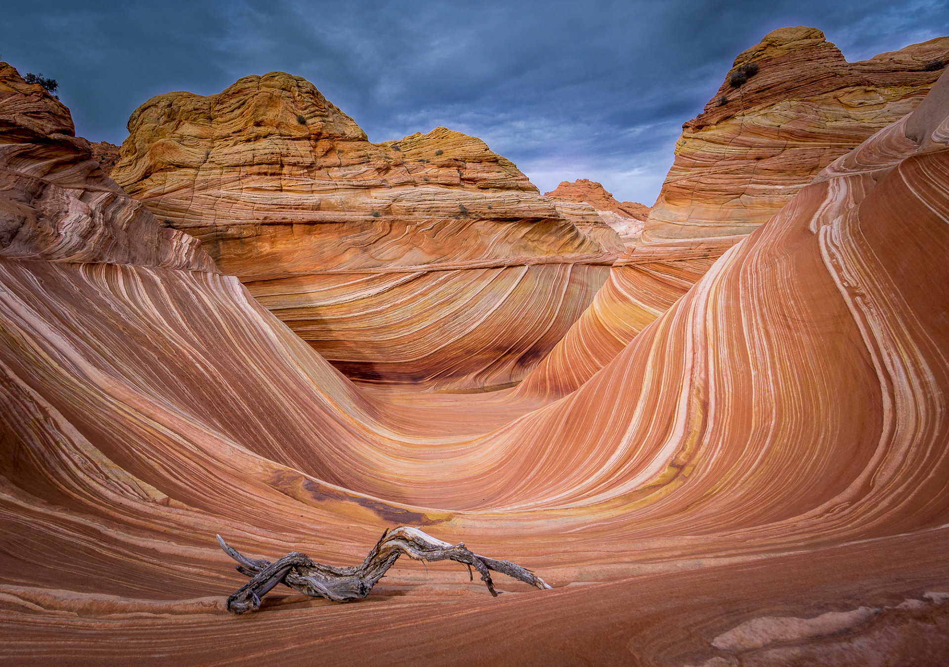 The Wave - USA