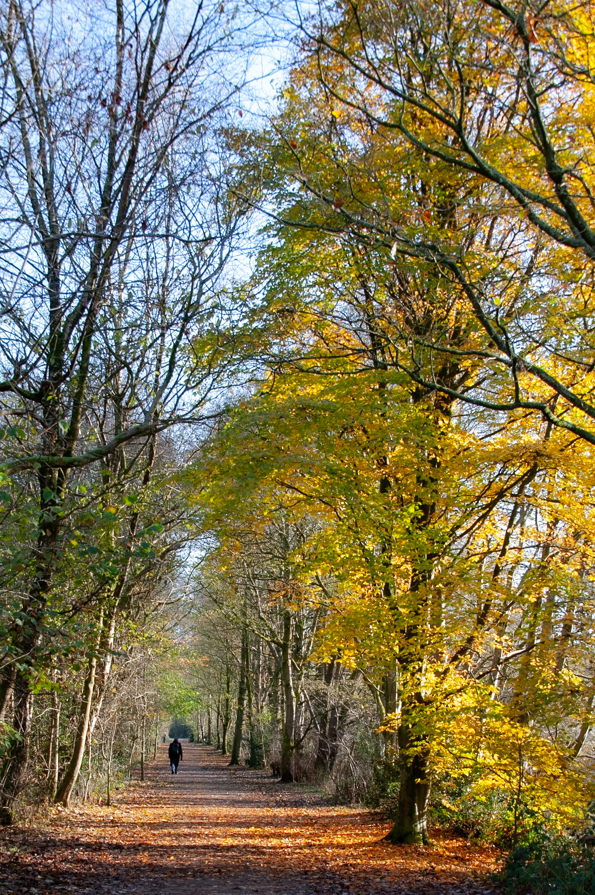 Sett Valley Trail 21.11.24