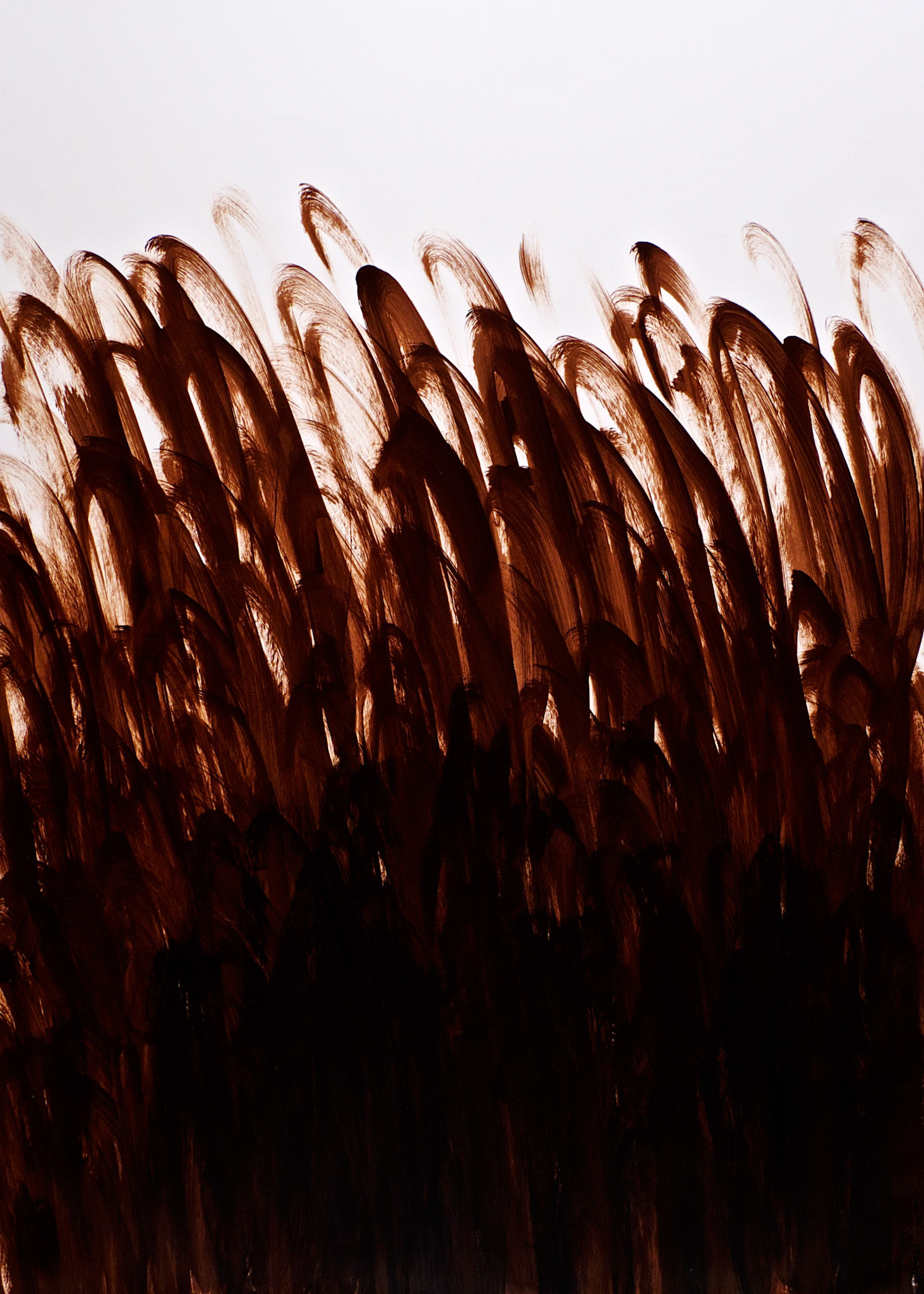 "Black and Umber #1". 2011. Acrylic on paper. 30"x22".