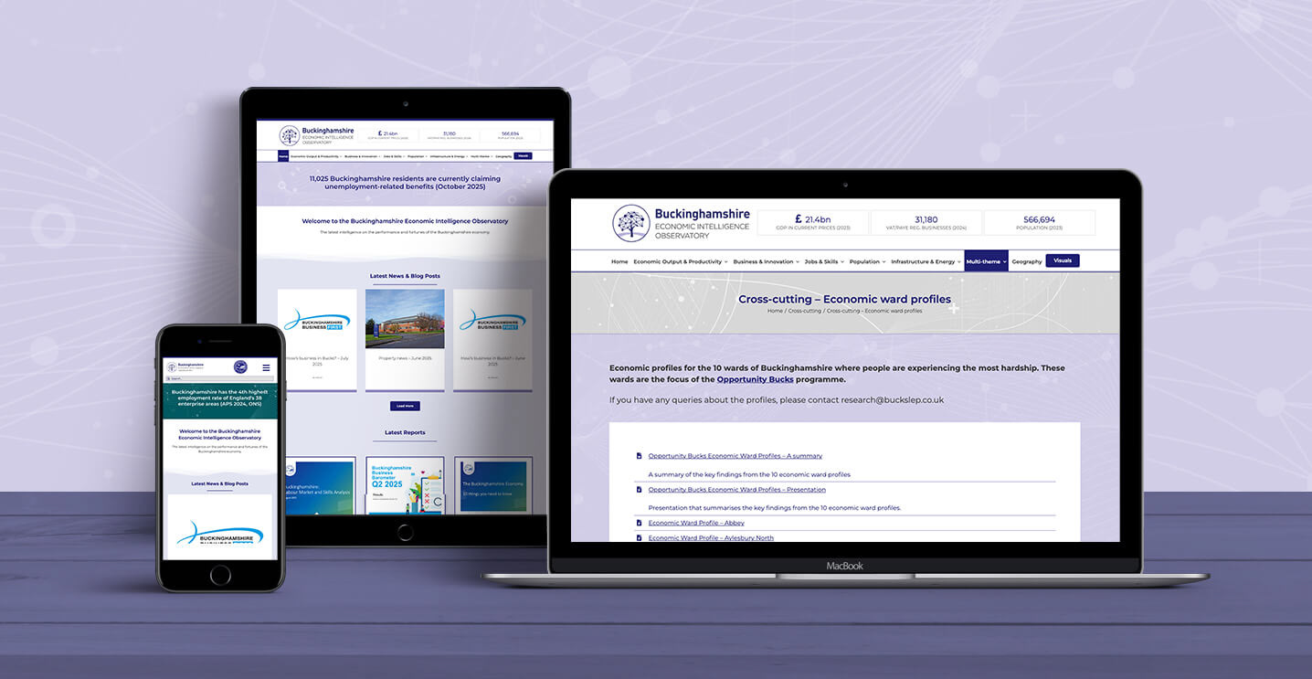 Buckinghamshire Economy Intelligence - Website Design & Branding