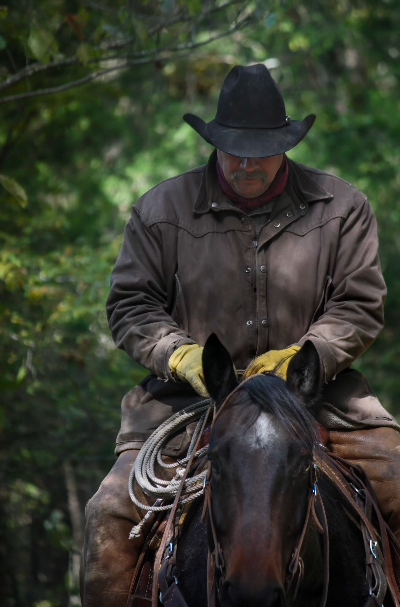 Cowboy at Shawnee Forest IL