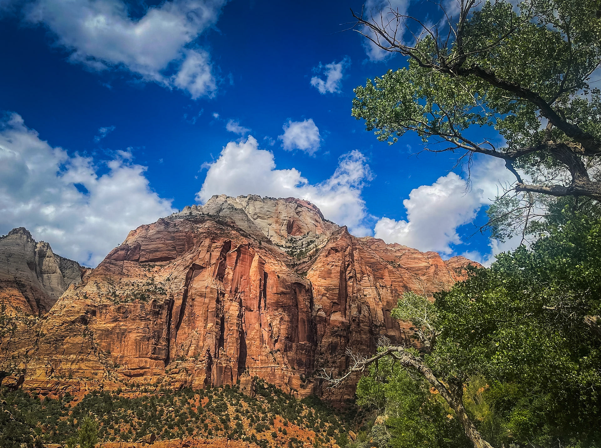 Zion National Park