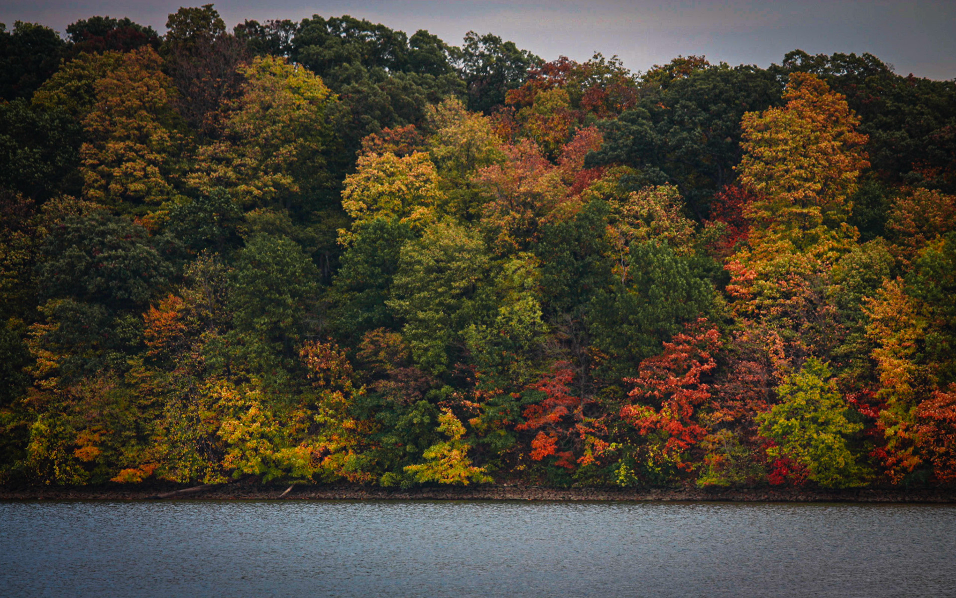 All The Colors
