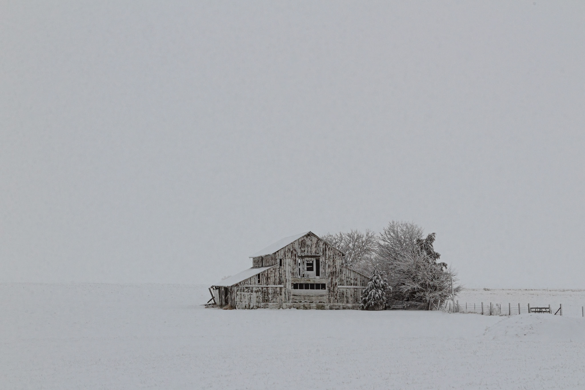 Snow Fog Barn 2