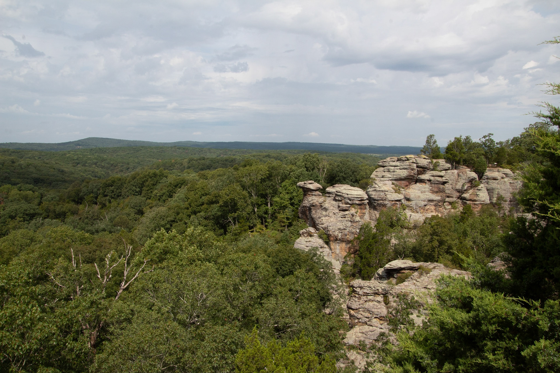 Camel Rock Garden of Gods IL