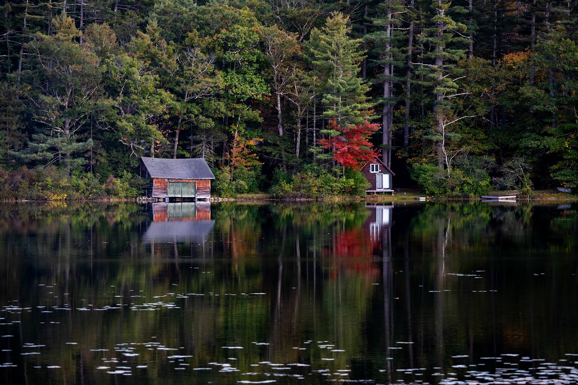 Early Fall in New Hamshire