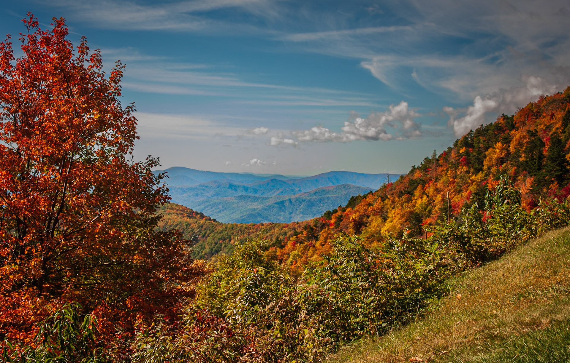 Fall on Blue Ridege Parkway