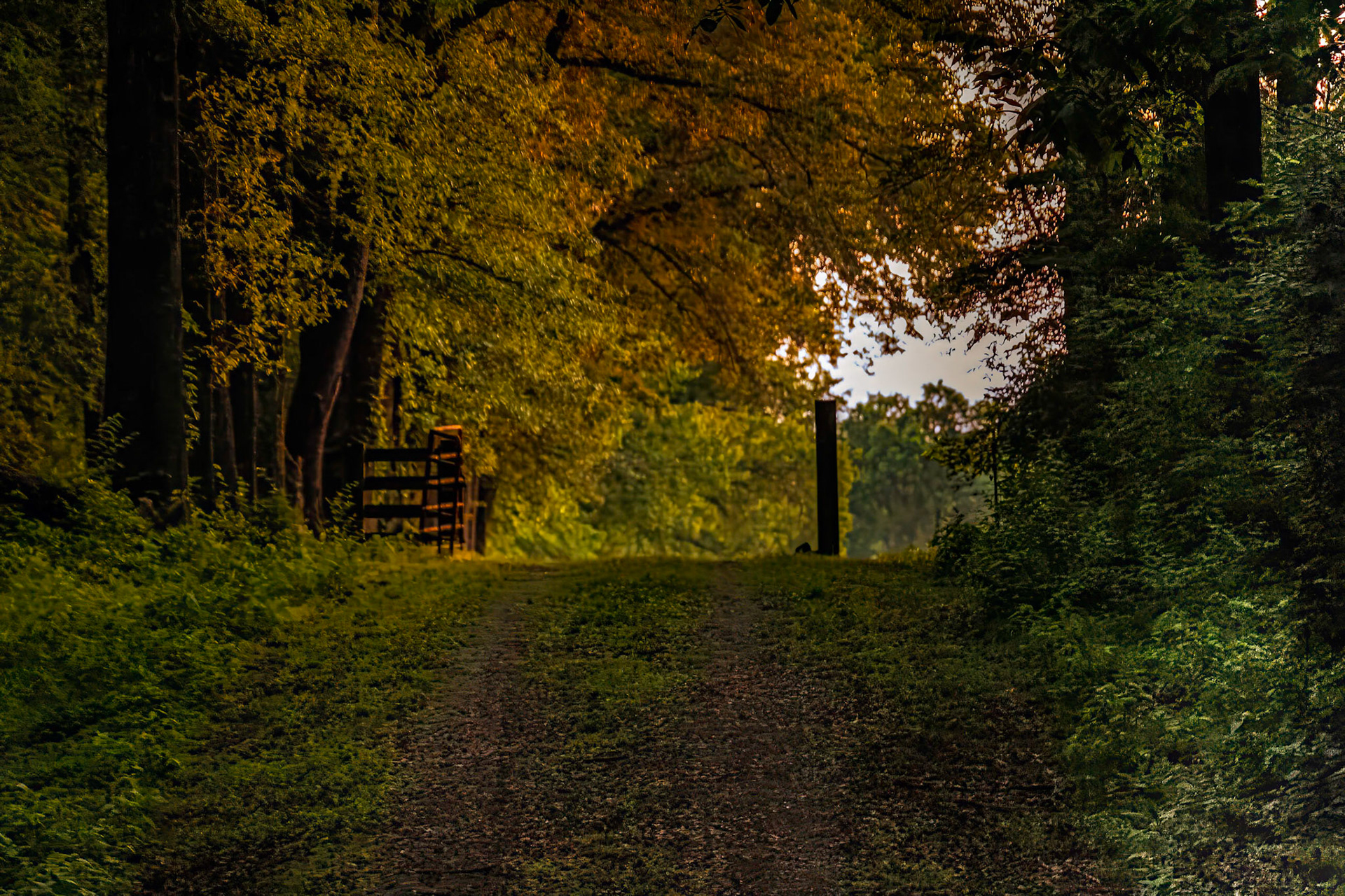 Cemetery Road So Illinois